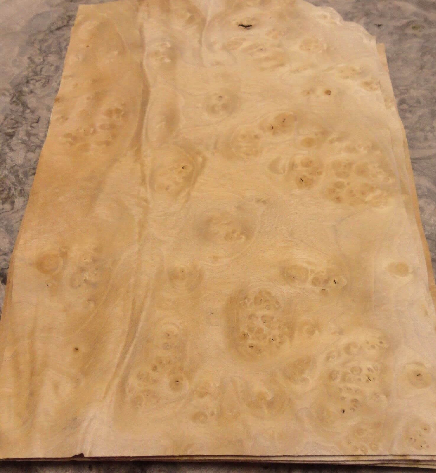 Pimento Maple Pepperwood Burl Wood Veneer 8" x 10" raw no Backing 1/64" Thick