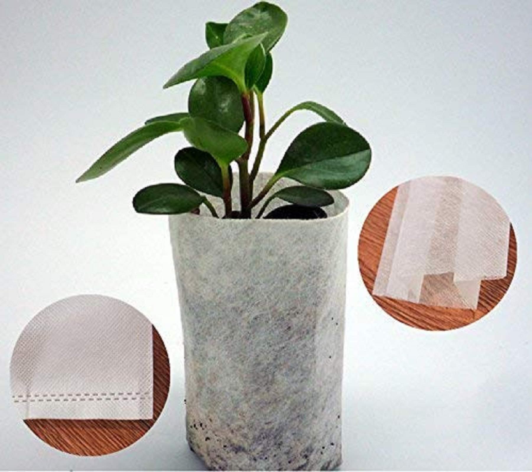 AROGEAR Biodegradable Non-woven Nursery Bags Eco-friendly Plant Grow Bags Fabric Seedling Pots 300pcs 3 Sizes
