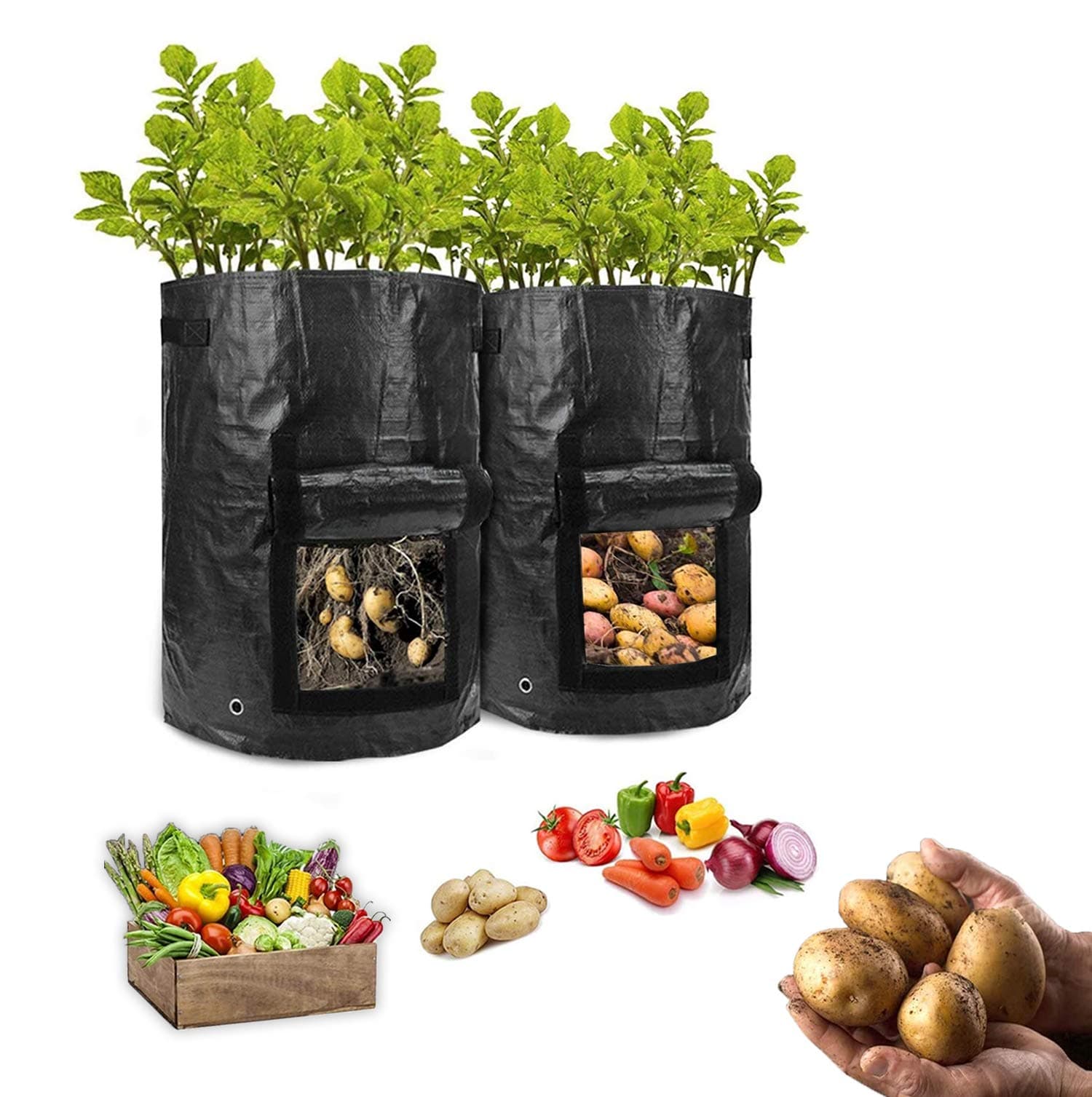 HomeFoundry 10 Gallon Potato Grow Bags – 2 Pack Portable Aeration Fabric with Hook & Loop Window Garden Planting Bags for Vegetables-Carrots-Onion & Tomato’s