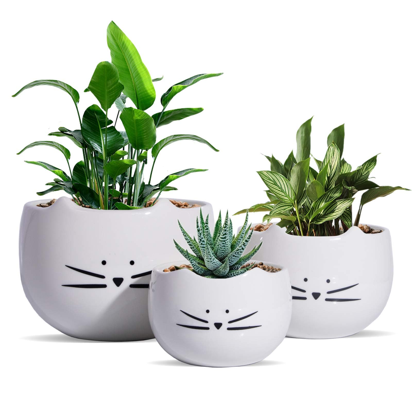 KoolkatkooCute Cat Flower Pot Cactus Succulent Plant Pots Ceramic Planters White Set of 3