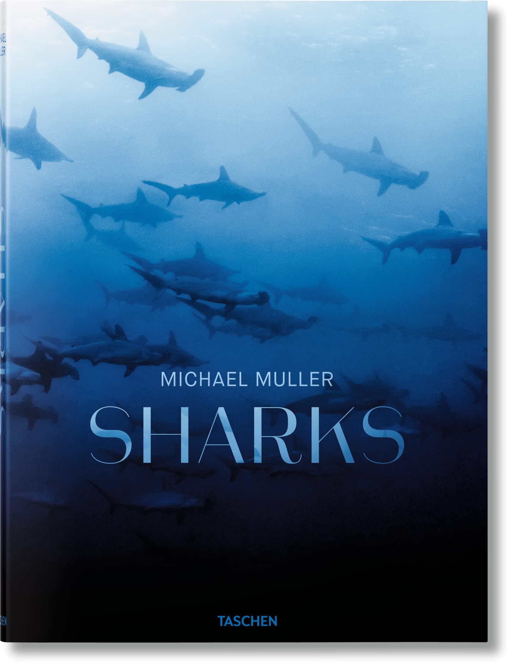 Michael Muller: Sharks, Face-to-Face with the Ocean's Endangered Predator Hardcover – 2 Feb. 2016