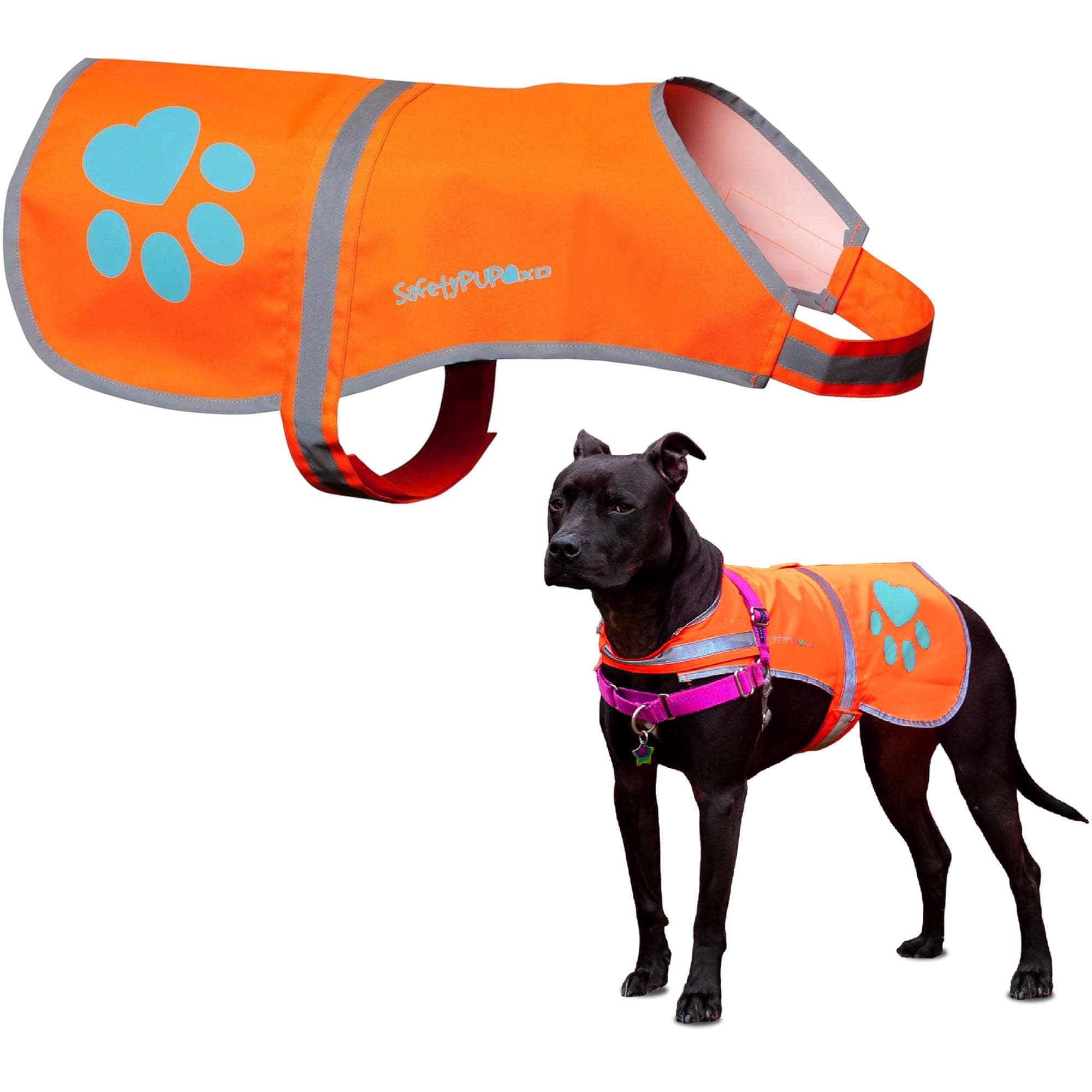 SafetyPUP XD Reflective Dog Vest. Hi-Visibility, Fluorescent Blaze Orange Dog Vest Helps Protect Your Best Friend. Safeguard Your PUP from Motorists & Hunting Accidents, On or Off Leash (X-Large)