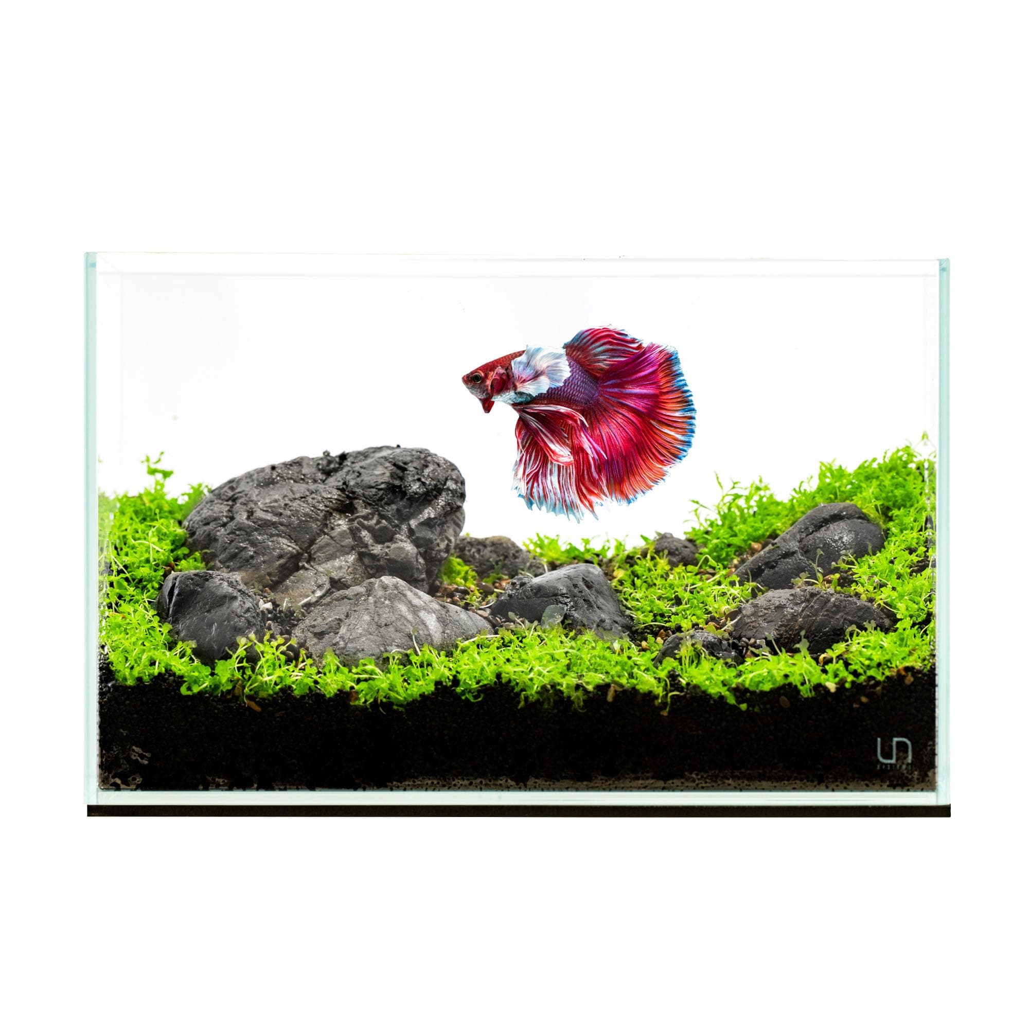 Ultum Nature Systems Ultra Clear Rimless Aquarium - Low Iron Glass Fish Tank with 45° Mitered Edges, 5mm-12mm Thick, Leveling Mat Included (3N, Nano, 3 Gallon)