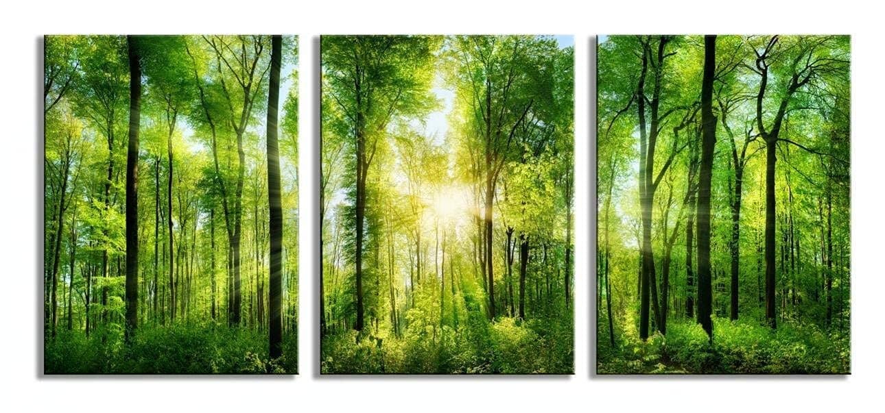 Green Forest Canvas Wall Decor 12x16 inches, Home Decor with Natural Light Elements, Minimalist Canvas Print for Living Room, Bedroom, or Hallway -3 Panels Sunrise Landscape Modern Nature Art