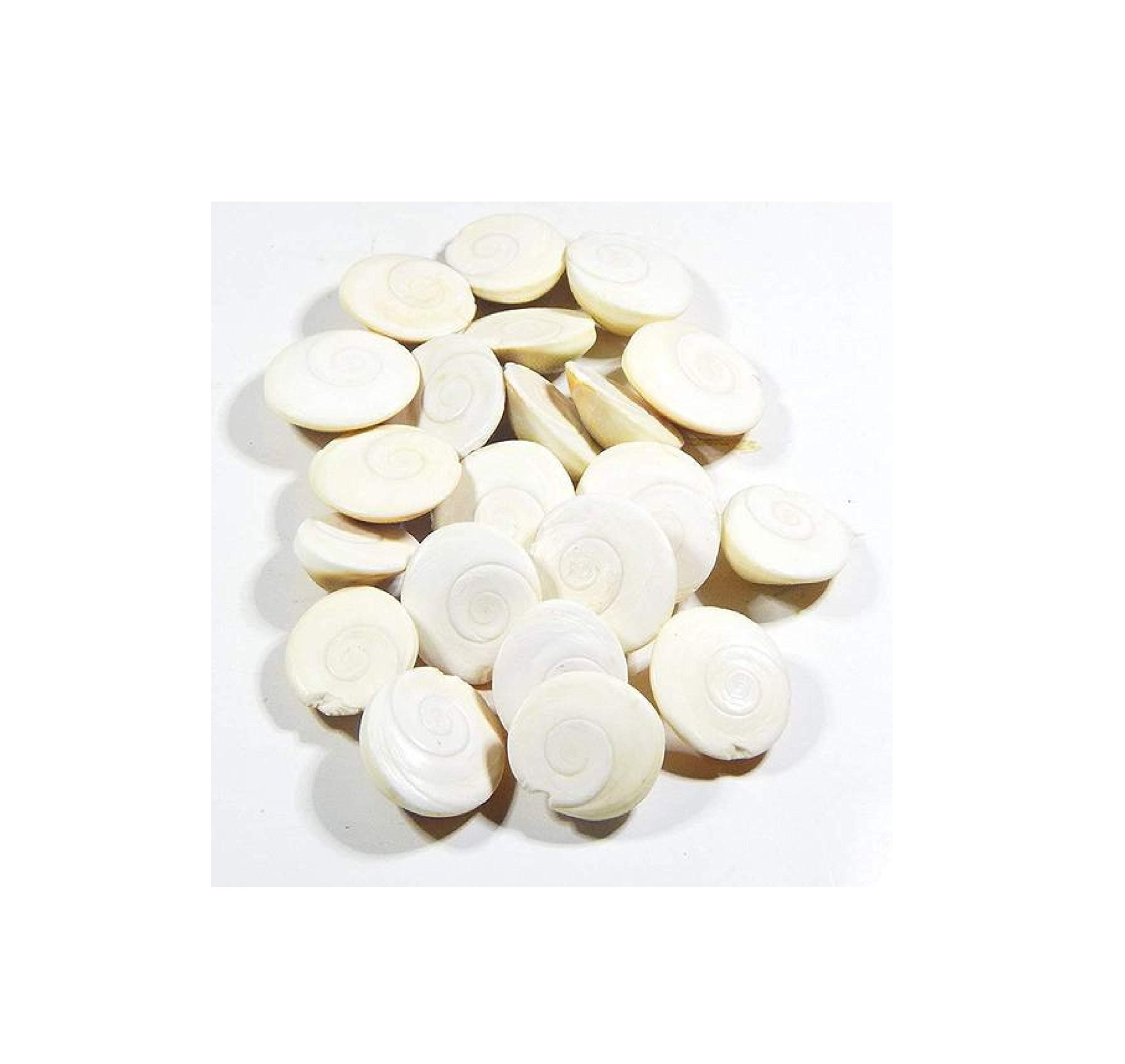 IndianStore4All IS4A 11 pcs Set Original Gomti/Gomati Chakra