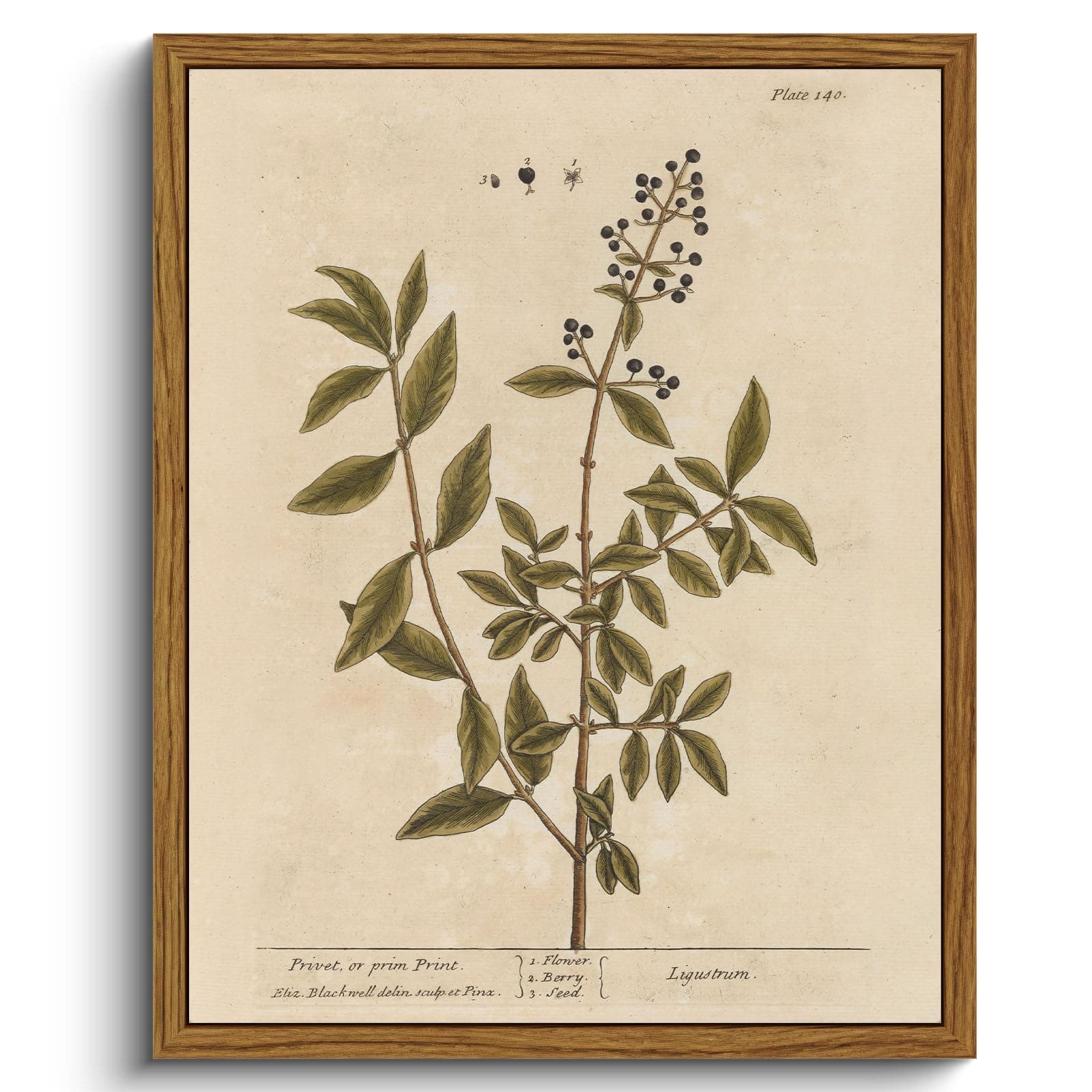 VIYYIEA Framed Canvas Wall Art Home Decor Boho Plant Wall Decor Minimalist Botanical Print Canvas Wall Art Pictures for Rustic Vintage Farmhouse Home Kitchen Room Decor 8x10in