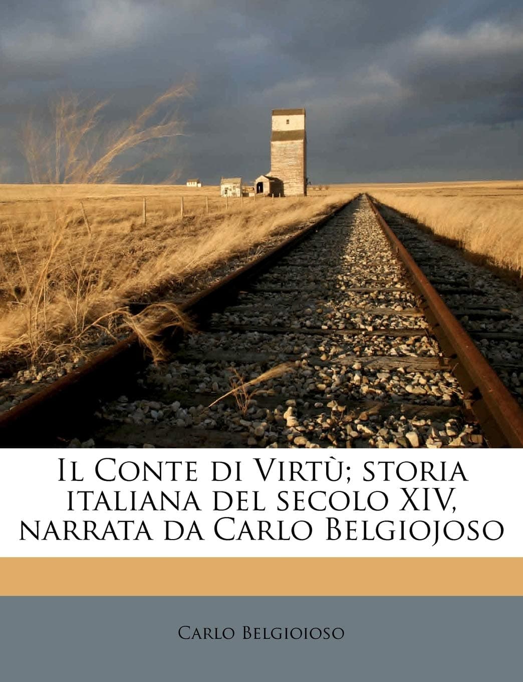 Il Conte Di Virtu; Storia Italiana del Secolo XIV, Na Paperback – 3 September 2010