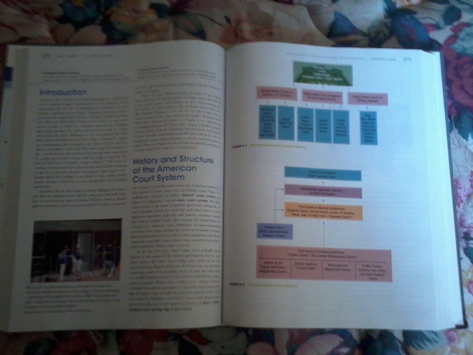 Criminal Justice Today: An Introductory Text for the 21st Century