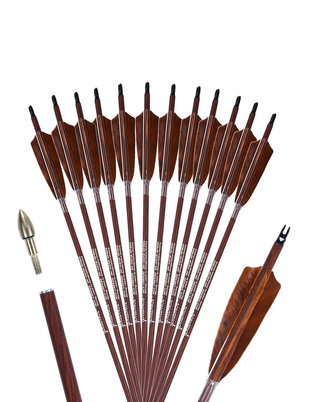 Archery 31-Inch Carbon Hunting Arrows, 4-Inch Turkey Feather Fletching with Replaceable Points, Targeting Practice Arrows Spine 500 for Recurve & Traditional Bows