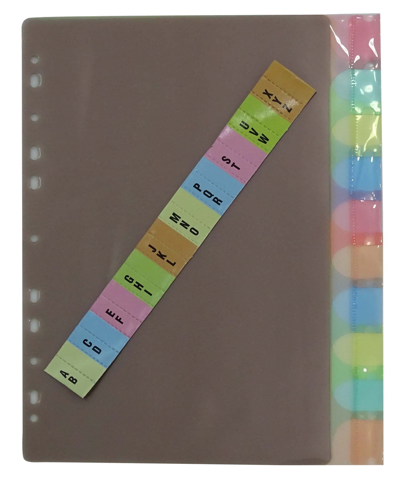 Clear Plastic Separator Survives Longer Than Paper Dividers 10-Tab Set, Multi Colors