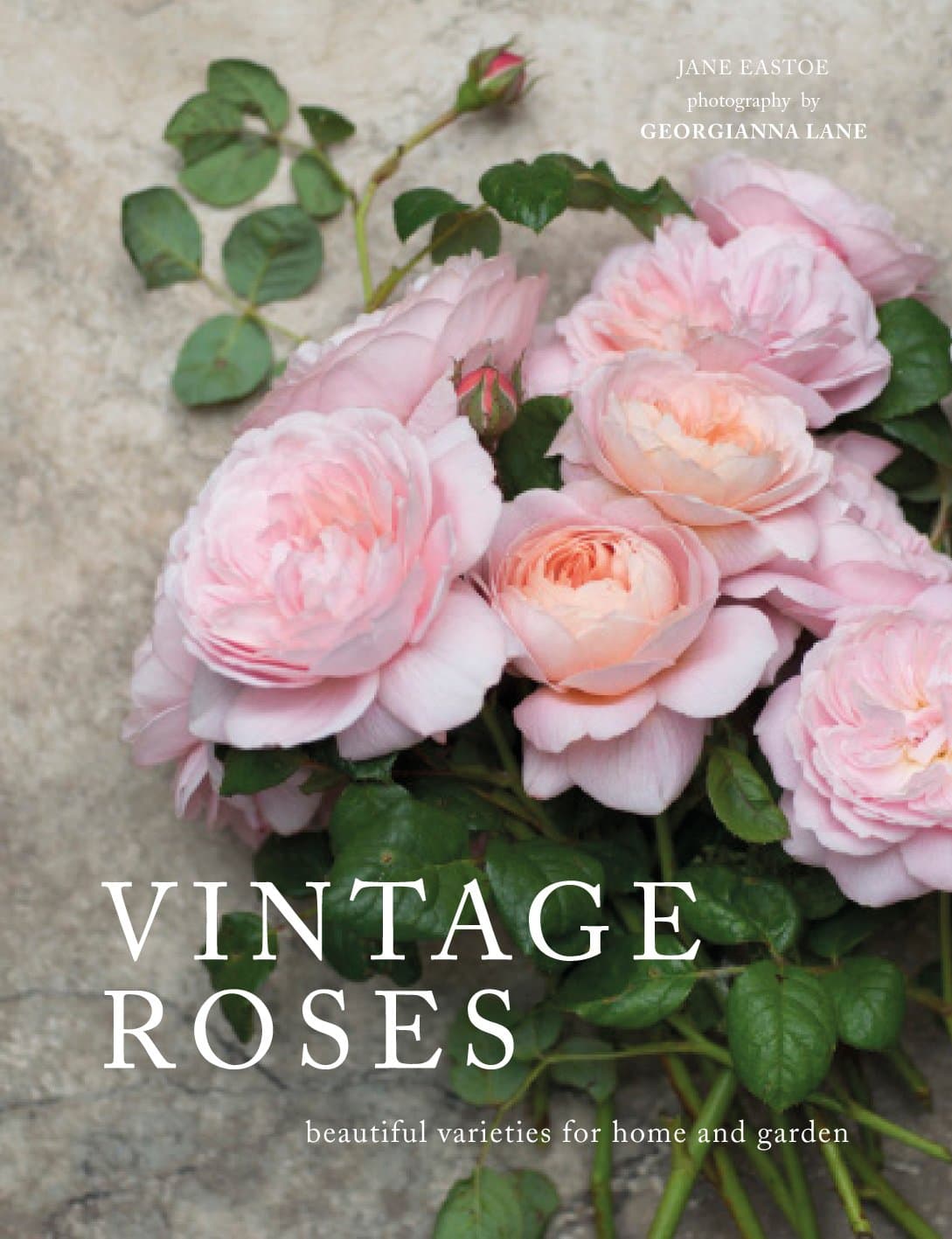 Vintage Roses: Beautiful Varieties for Home and Garden (Flowers)