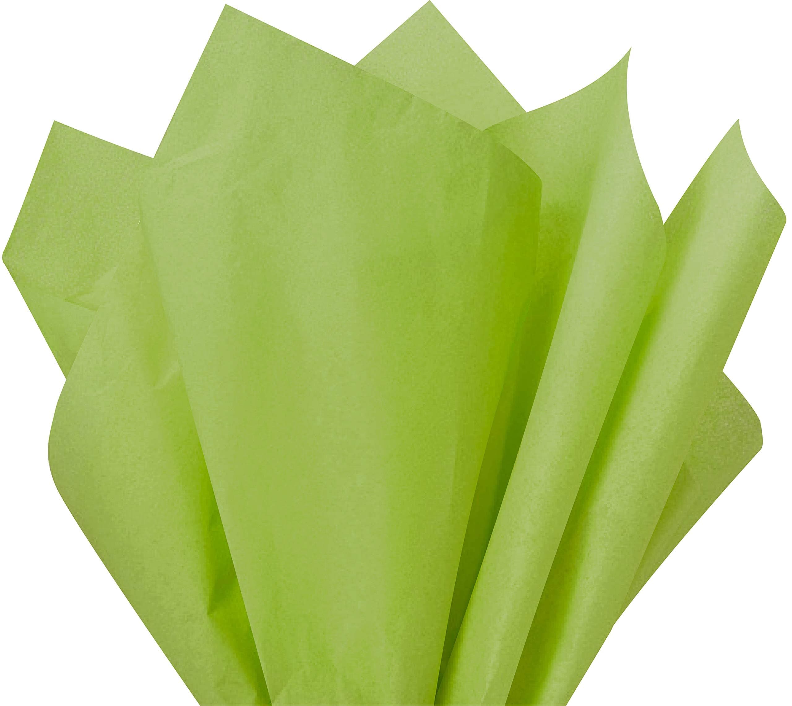 Flexicore Packaging| Gift Wrap Tissue Paper|15"x20"|100 Count (Aloe Green, 100 Sheets)