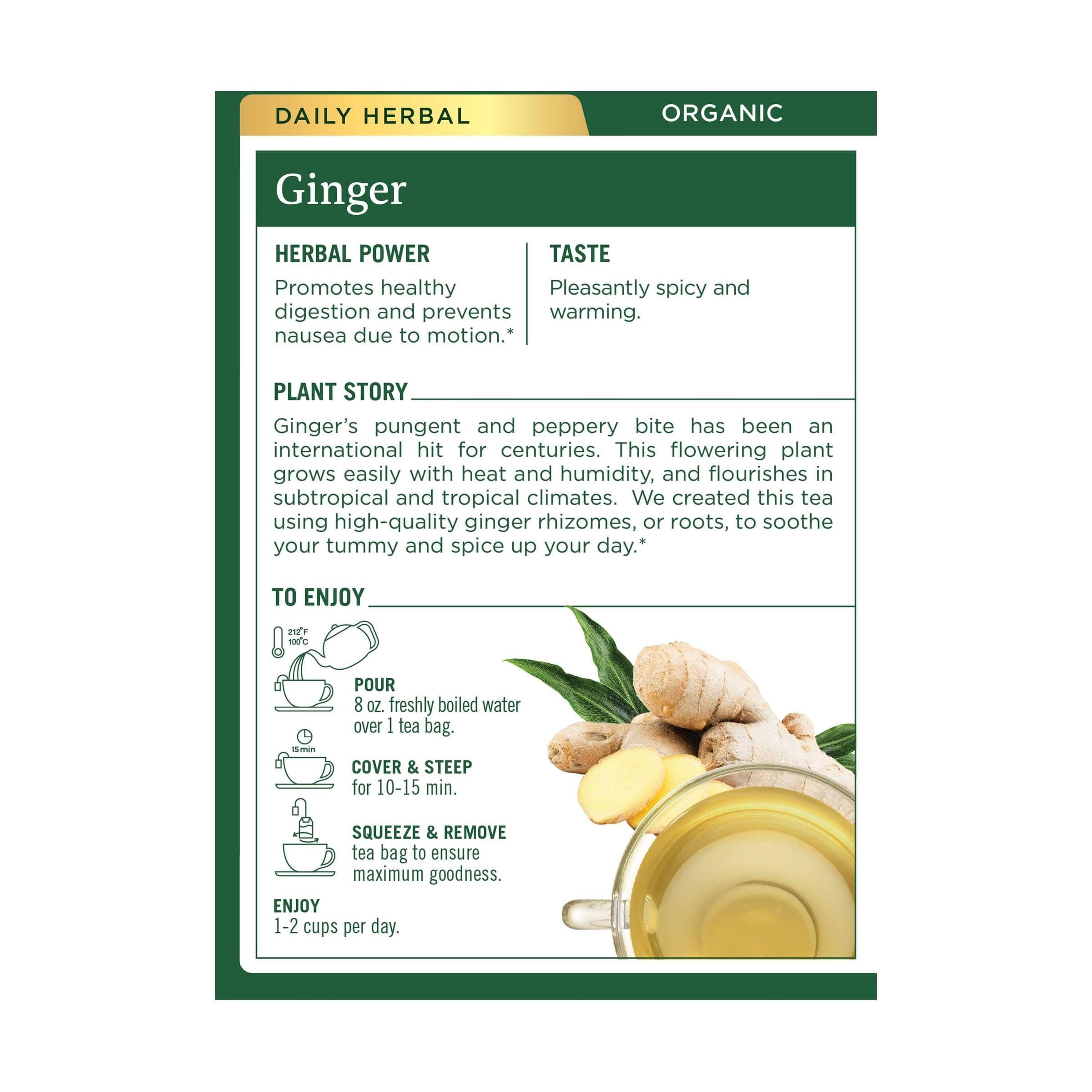 Traditional Medicinals 29062-3pack Traditional Medicinals Ginger Tea - 3x16 bag