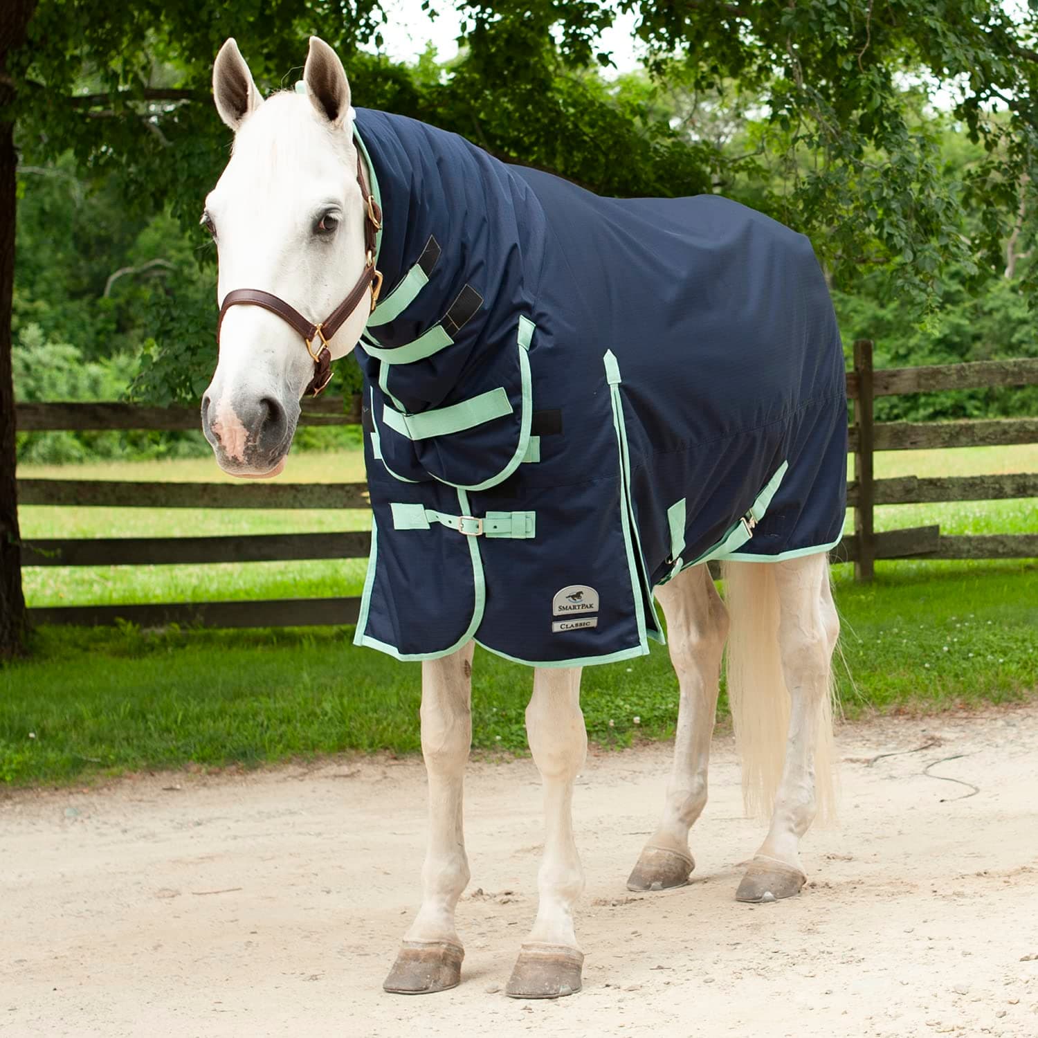 SmartPak Classic 600D Combo Neck Turnout Horse Blanket-75-Medium (220g)-Navy w/Mint Trim