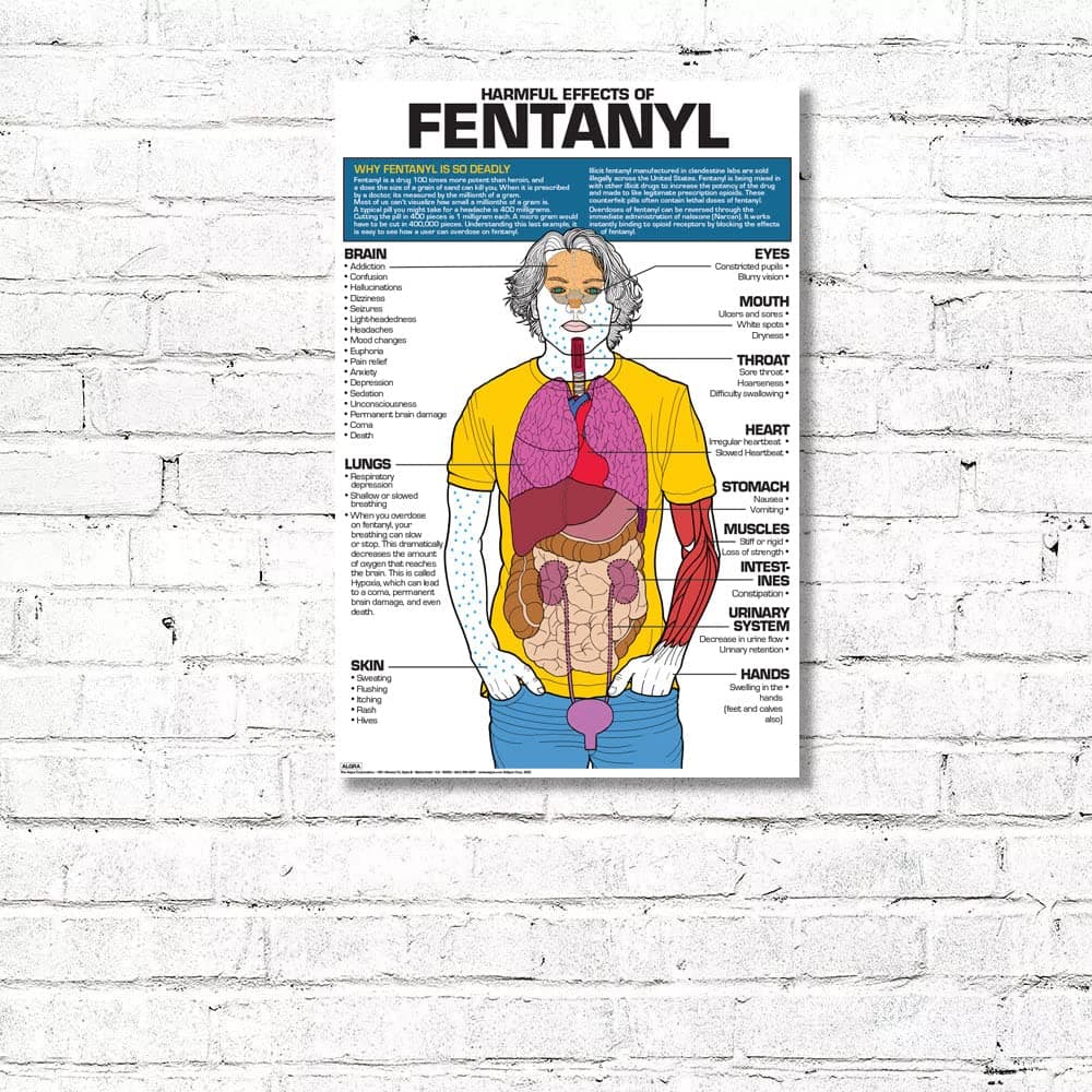 Algra Corporation The Harmful Effects of Fentenyl 24" x 36" Educational Poster Laminated