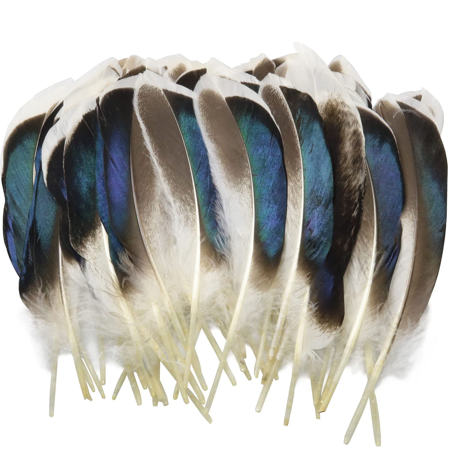 150PCS Blue Duck Feathers for DIY Crafts, Home Decor, Costume Accessories, Unisex-Adults, Halloween Enthusiasts