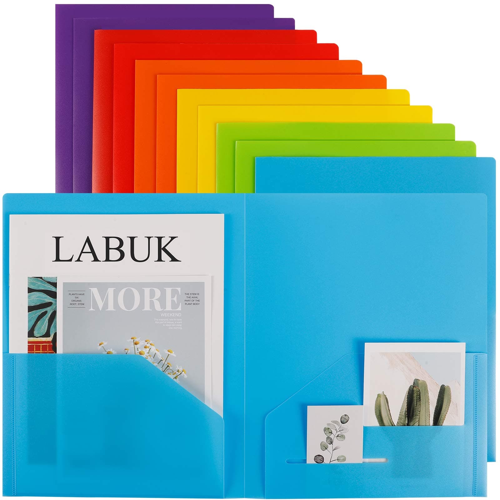 LABUK 12 Pack Plastic Pocket Folder, Letter Size Heavy Duty Folders with Pockets, Vinyl Folders for School Office, Assorted Color