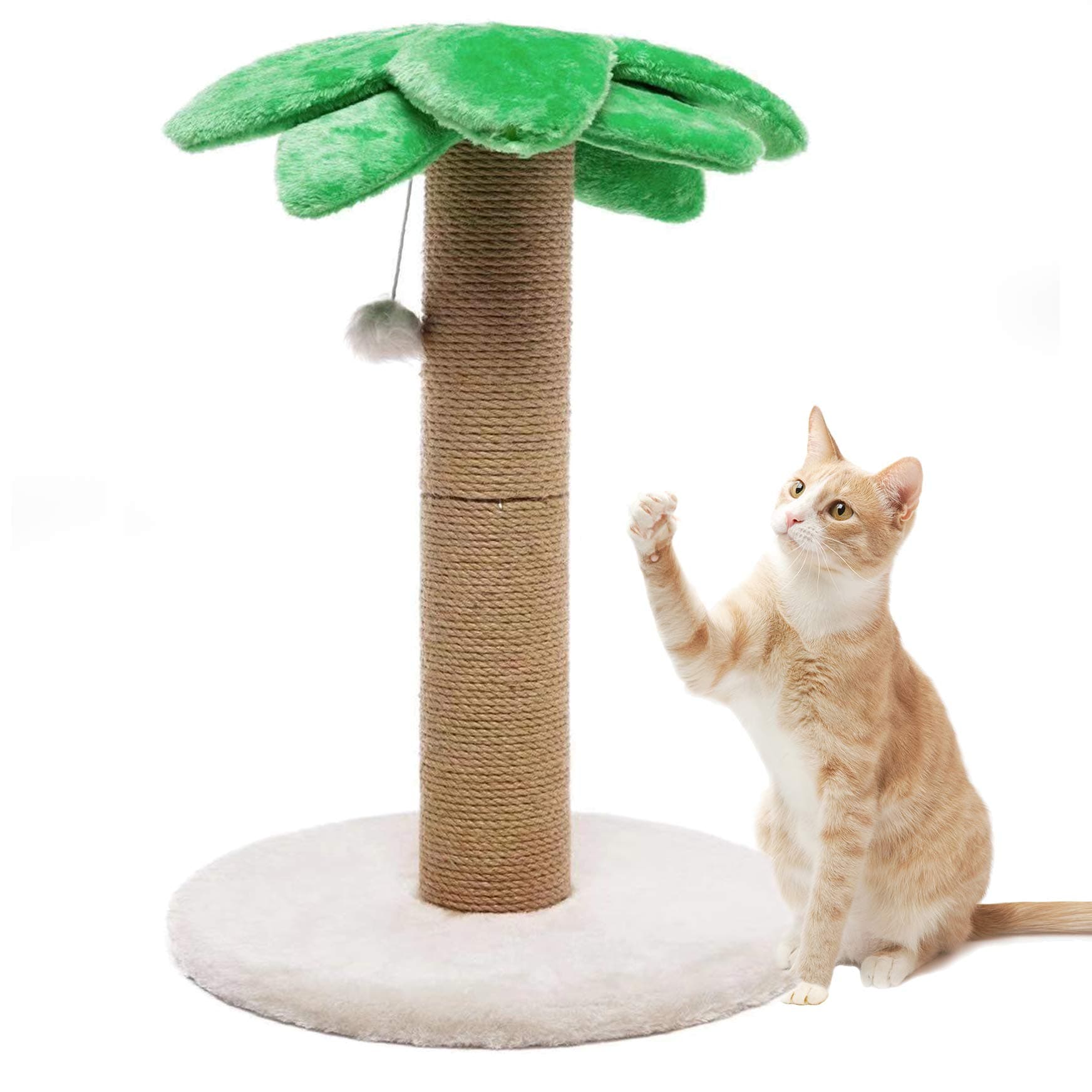 LUCKITTY Small Cat Scratching Posts Kitty Coconut Palm Tree for Cats and Kittens - Natural Jute Sisal Scratch Pole (23IN)