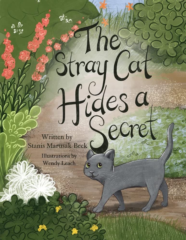 Bookbaby The Stray Cat Hides a Secret