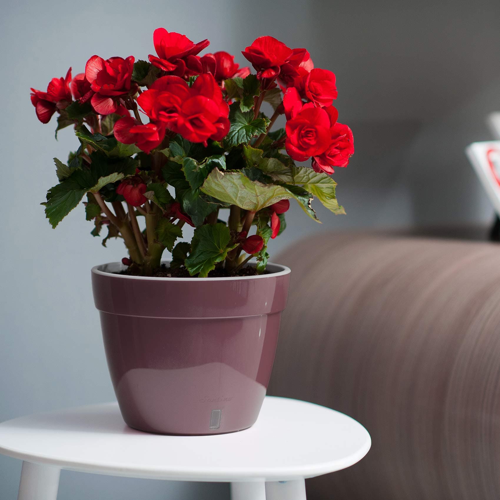 DECOPOTS7.1 Inch Self Watering Planter - Modern Flower Pot with Water Level Indicator for All House Plants, Flowers, Herbs (Diameter 7.1", Shade - White)