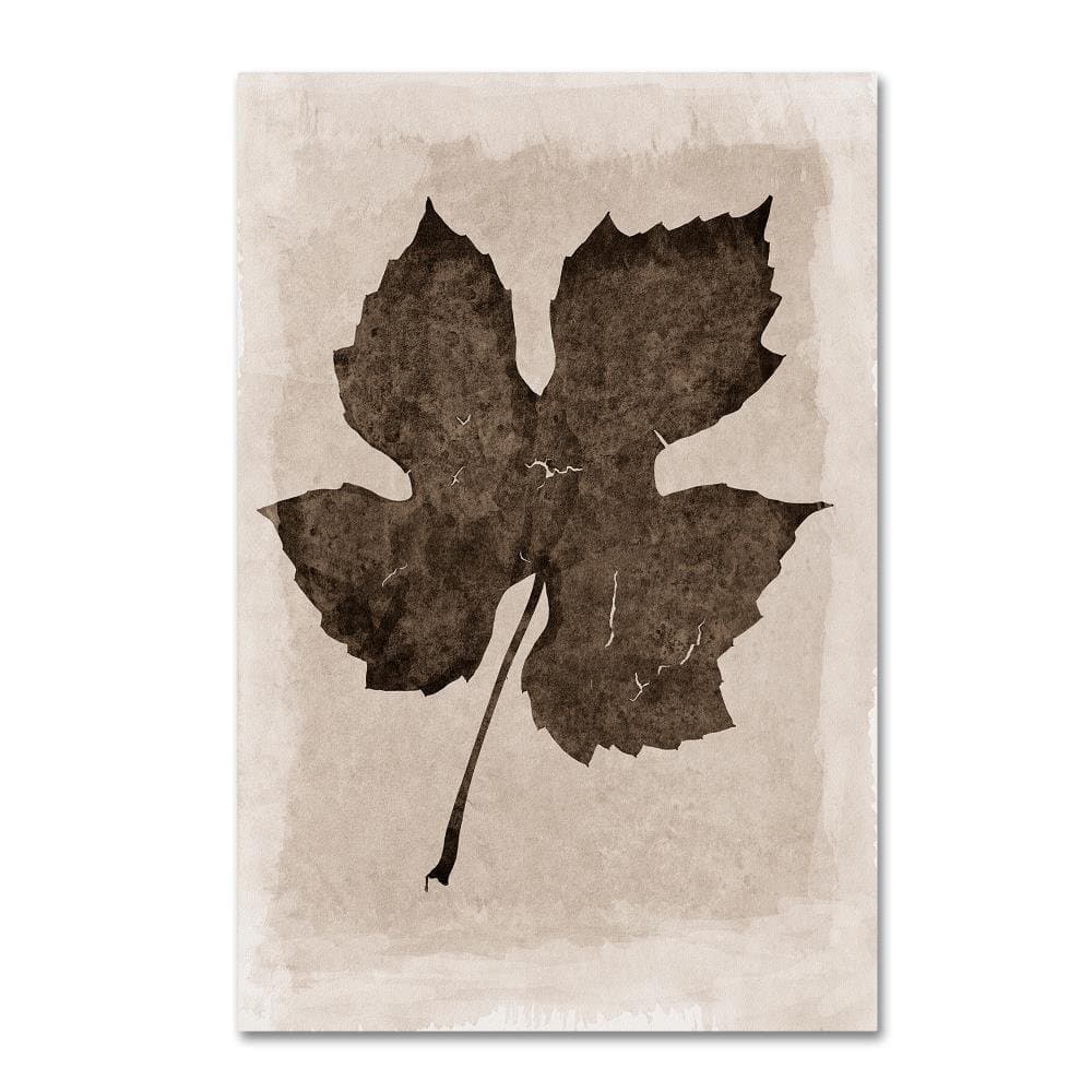 Trademark Fine Art ALI16594-C2232GG Sepia Grape Leaf
