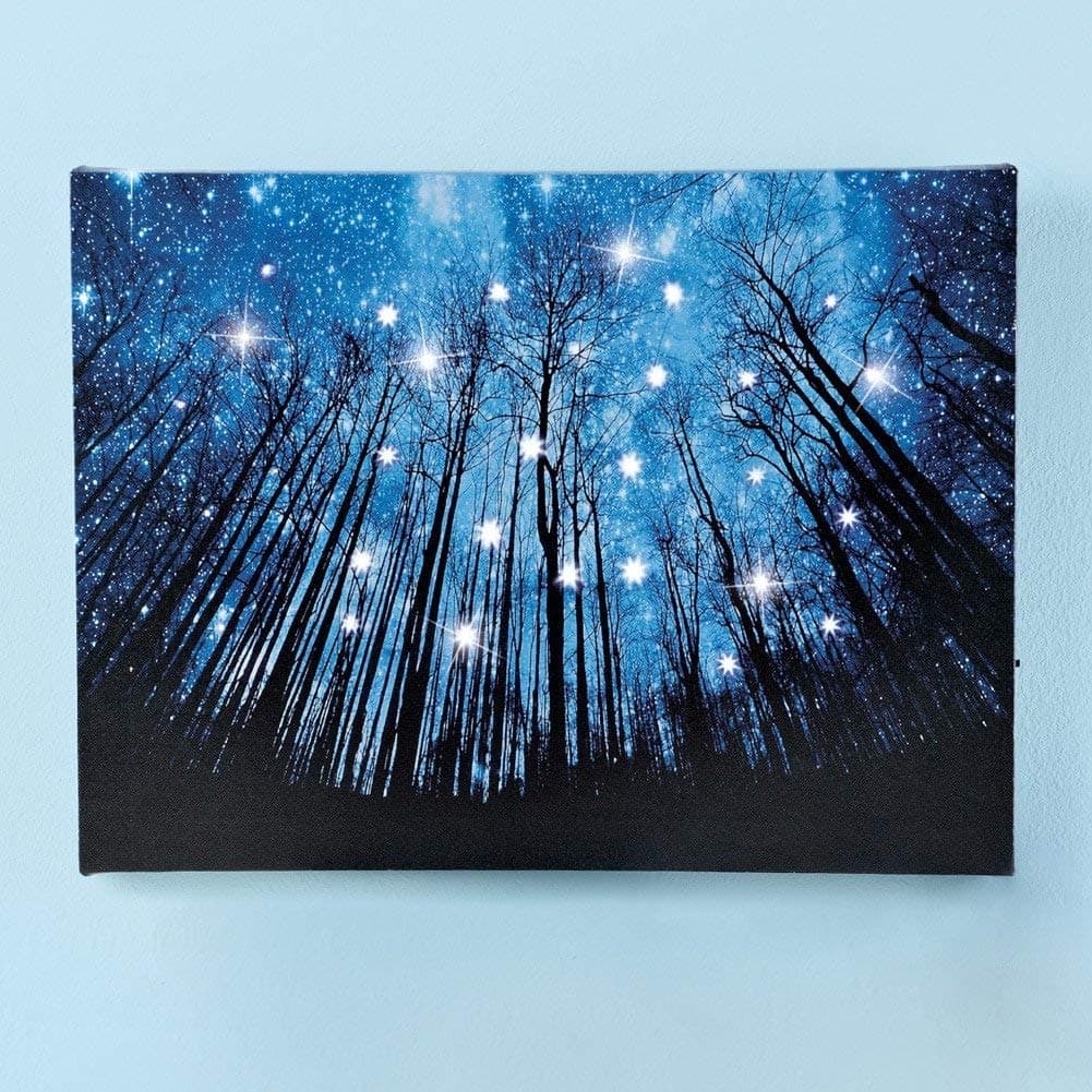 Lighted Starry Night Forest Scene Canvas Wall Decoration Fiber Optic Wall Art Lighted Holiday Decor.