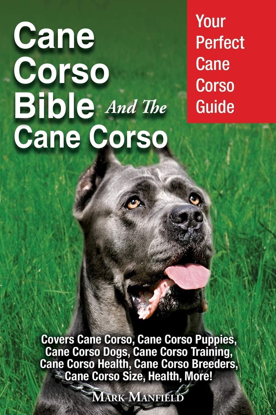Cane Corso Bible And the Cane Corso: Your Perfect Cane Corso Guide Covers Cane Corso, Cane Corso Puppies, Cane Corso Dogs, Cane Corso Training, Cane ... Breeders, Cane Corso Size, Health, More!