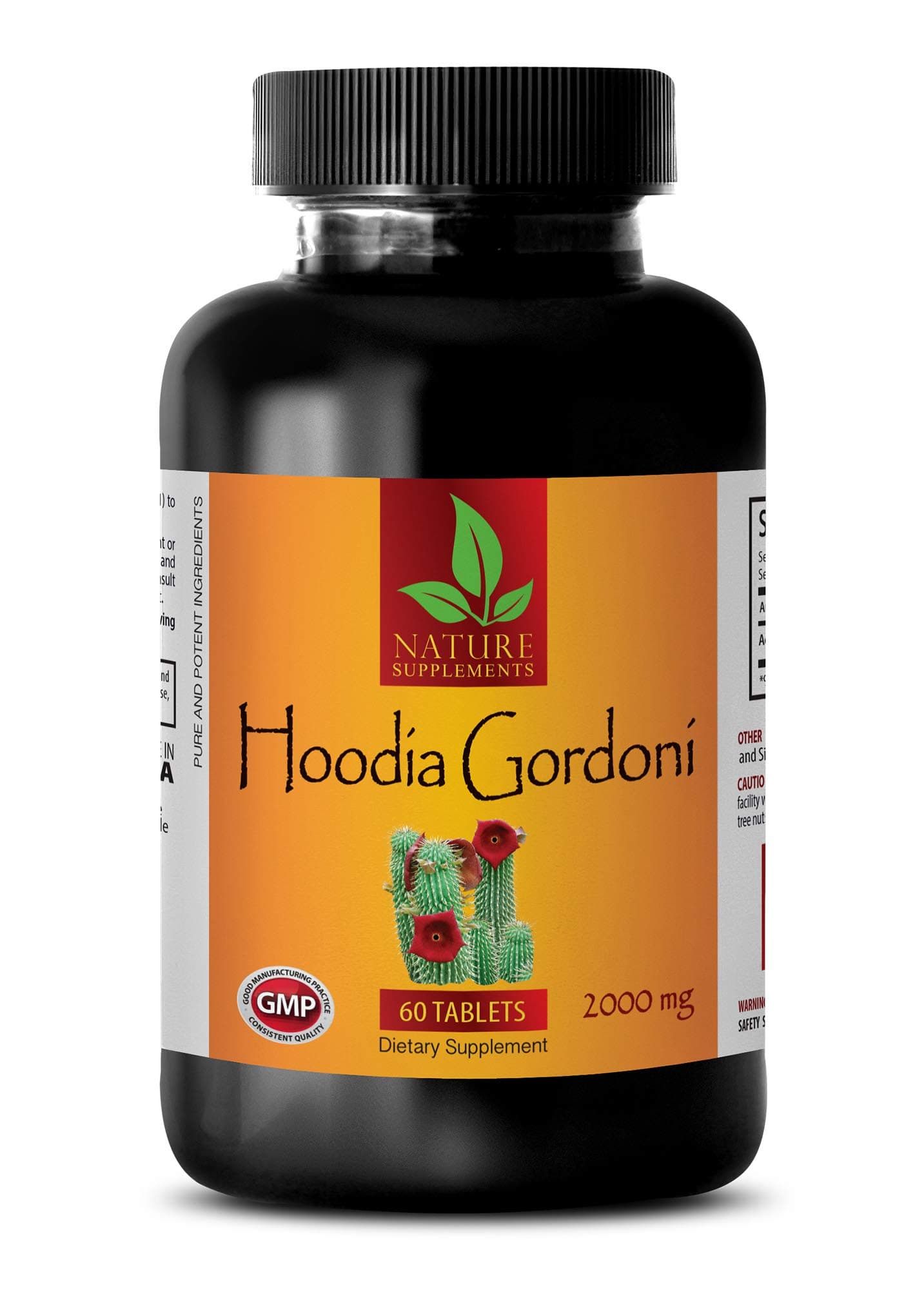 Metabolism Booster All Natural - HOODIA GORDONI 2000 MG - Dietary Supplement - hoodia Appetite suppressant - 1 Bottle 60 Tablets