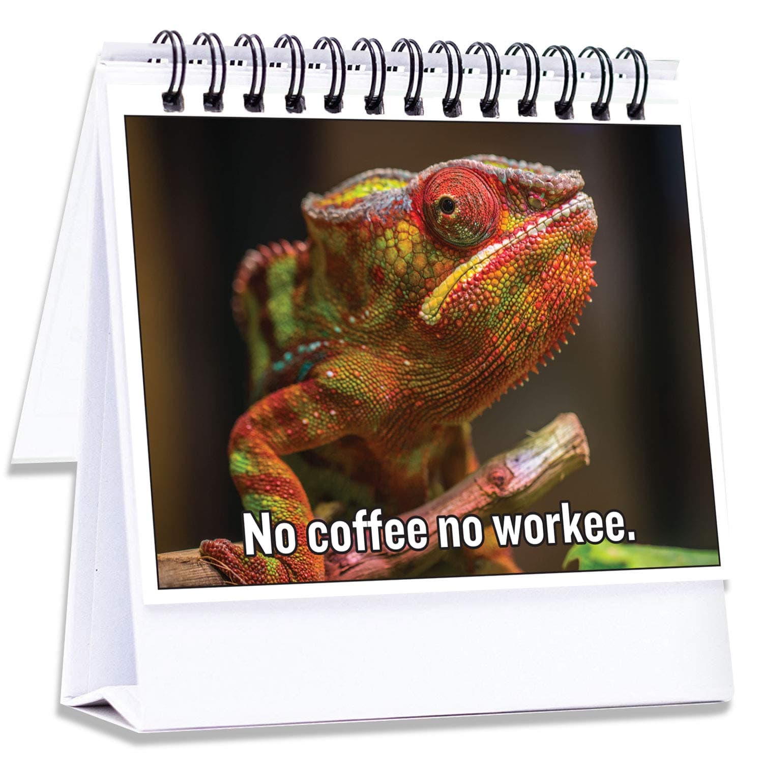 Maad Funny Office Gifts for Coworkers | Hilarious Cubicle Accessories Tell Everyone How You are Feeling | Perfect Business Gift, Gag Gift, Desk Toy for Office Secret Santa