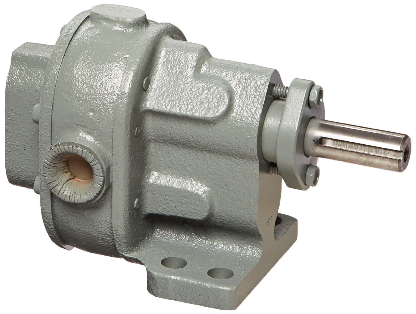 BSM PUMP B-Series 117-713-1-1 Iron 1 Rotary Gear Pump without Relief Valve, 4.6 GPM