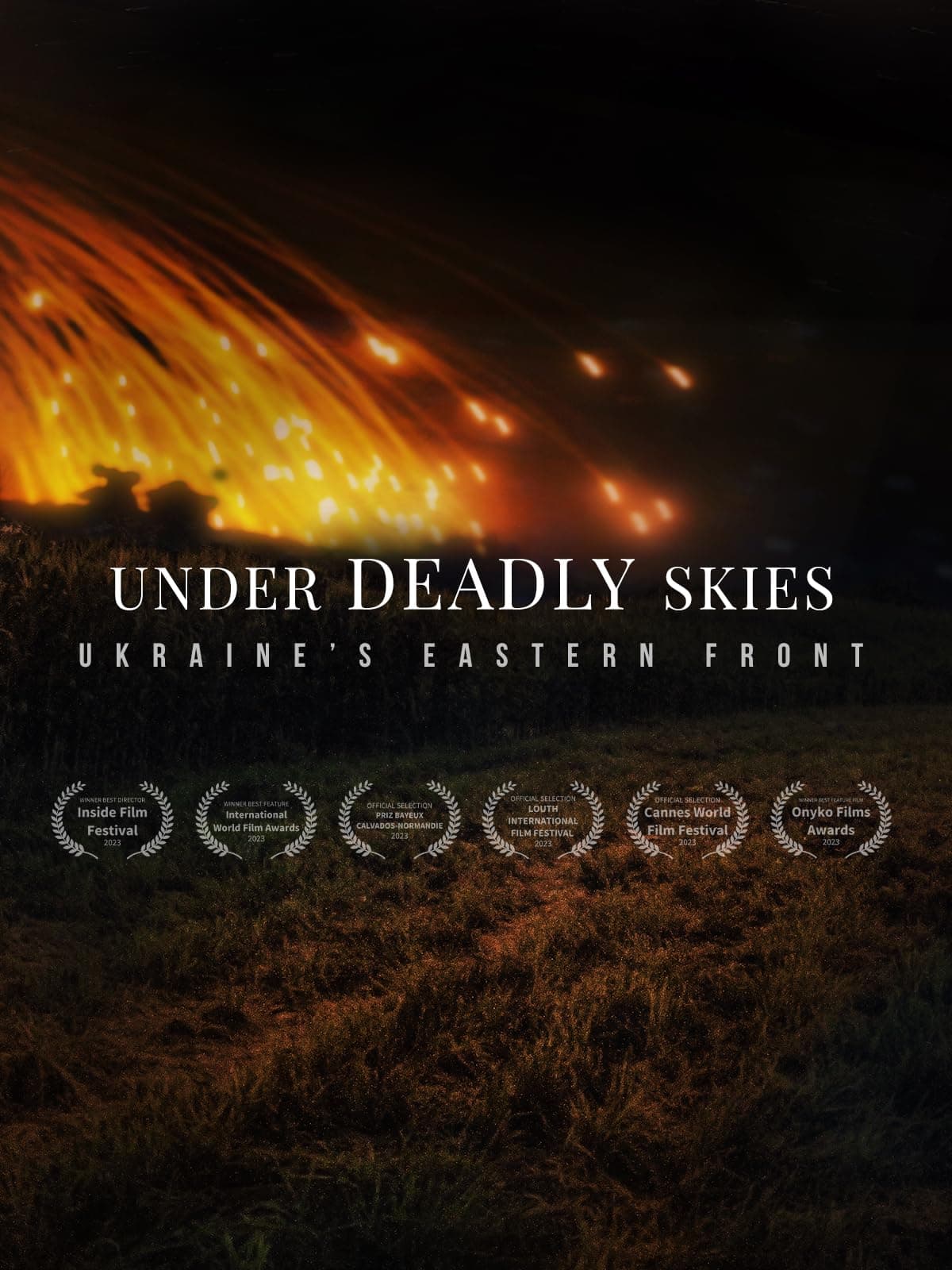 Under Deadly Skies: Ukraine's Eastern Front