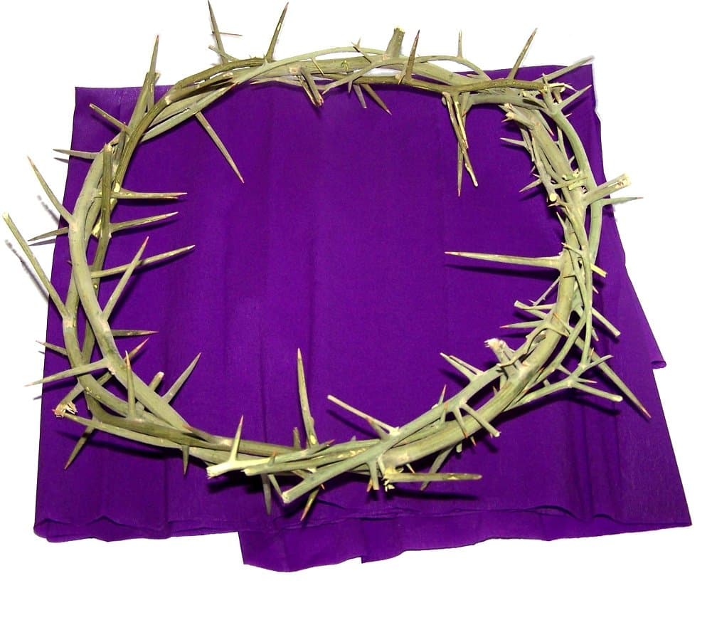 Holy Land Market Crown of Thorns From Jerusalem with Certificate of Origin