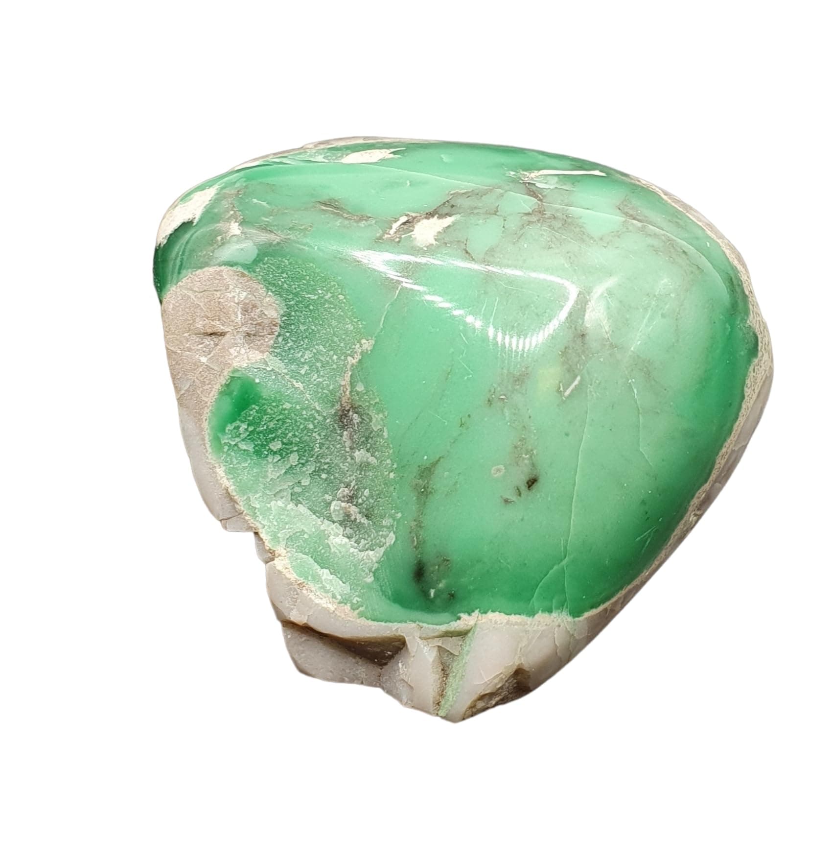 Variscite North America Geofossiles Mineral Healing Crystals USVA1
