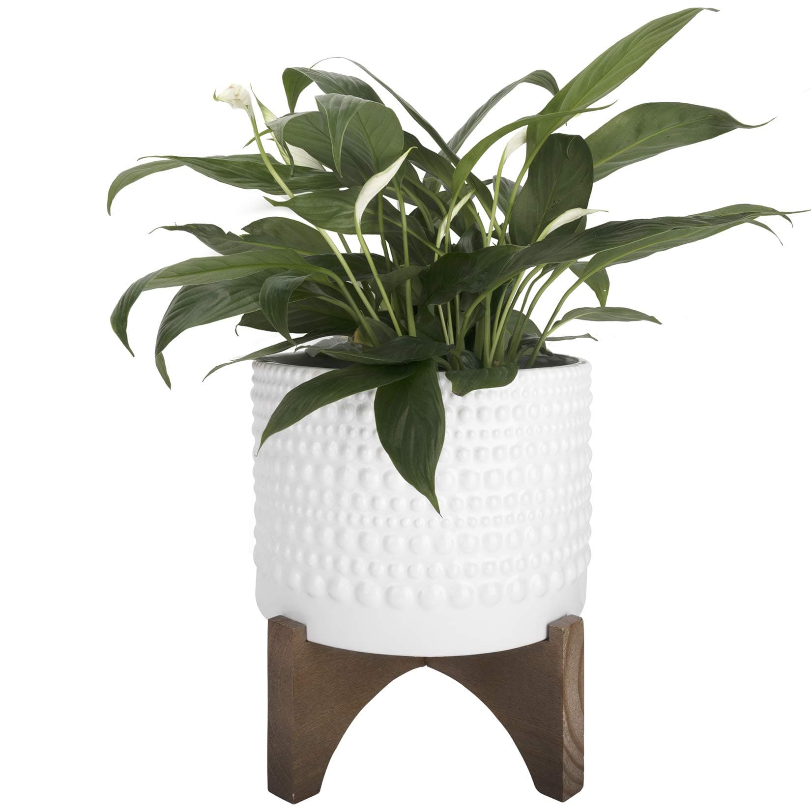 LA Jolie Muse Ceramic Planter with Wood Stand - 8 Inch White Cylinder Embossed Hobnail Patterned Flower Plant Pot Indoor