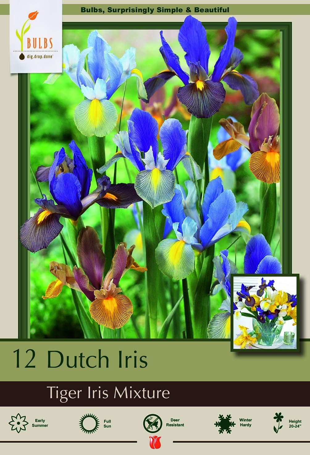 Tall Tiger Dutch Iris Mix - 12 Bulbs - Great Cut Flower - 8/9 cm Bulbs