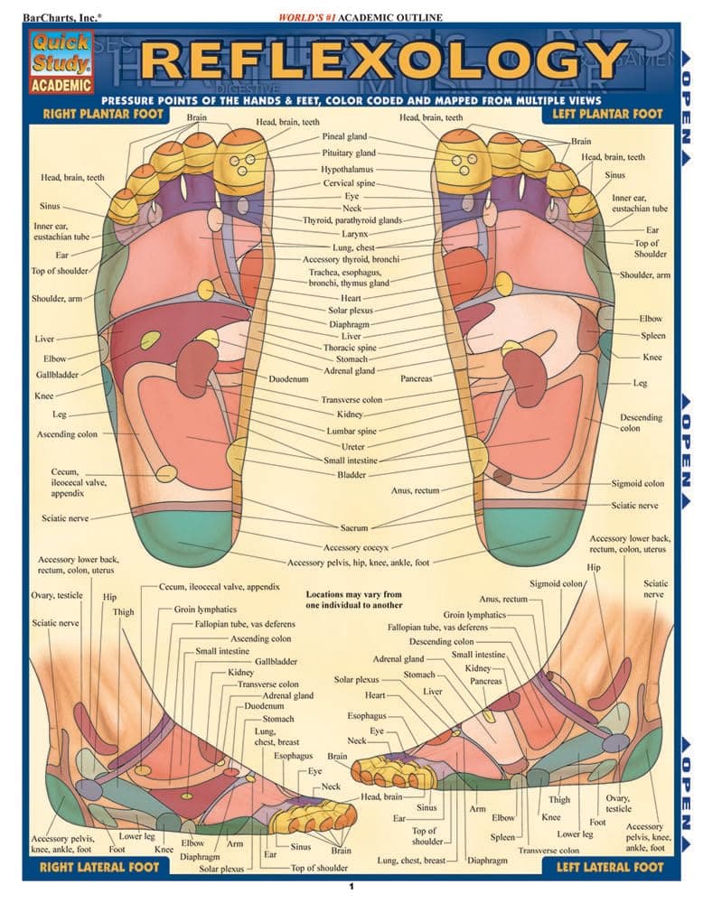Reflexology QuickStudy Laminated Reference Guide (QuickStudy Academic)