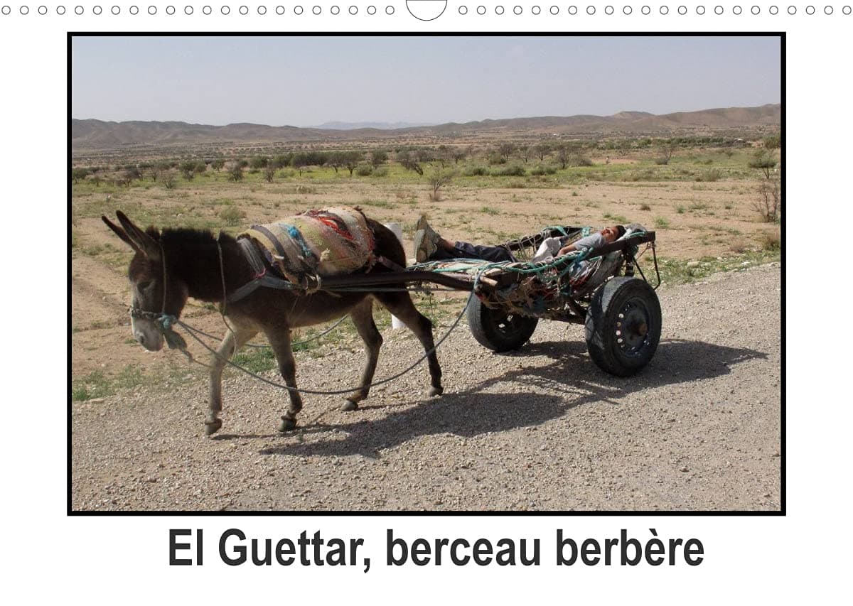 El Guettar, berceau berbère (Calendrier mural 2022 DIN A3 horizontal): El Guettar, oasis de Tunisie et berceau berbère. (Calendrier mensuel, 14 Pages )