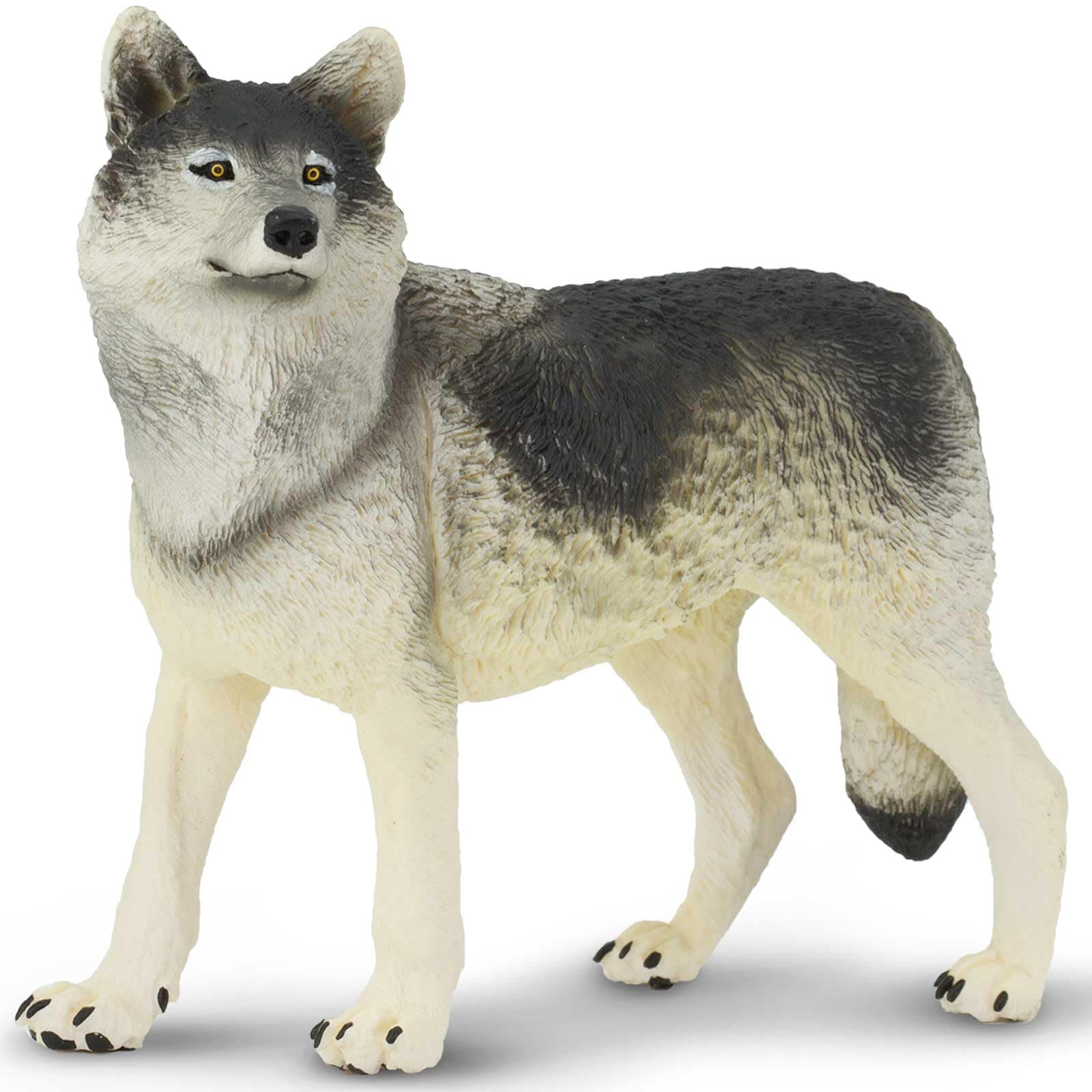 Safari Ltd Wildlife Wonders - Wolf - Realistic Hand Painted Toy Figurine Model - Quality Construction from Safe...