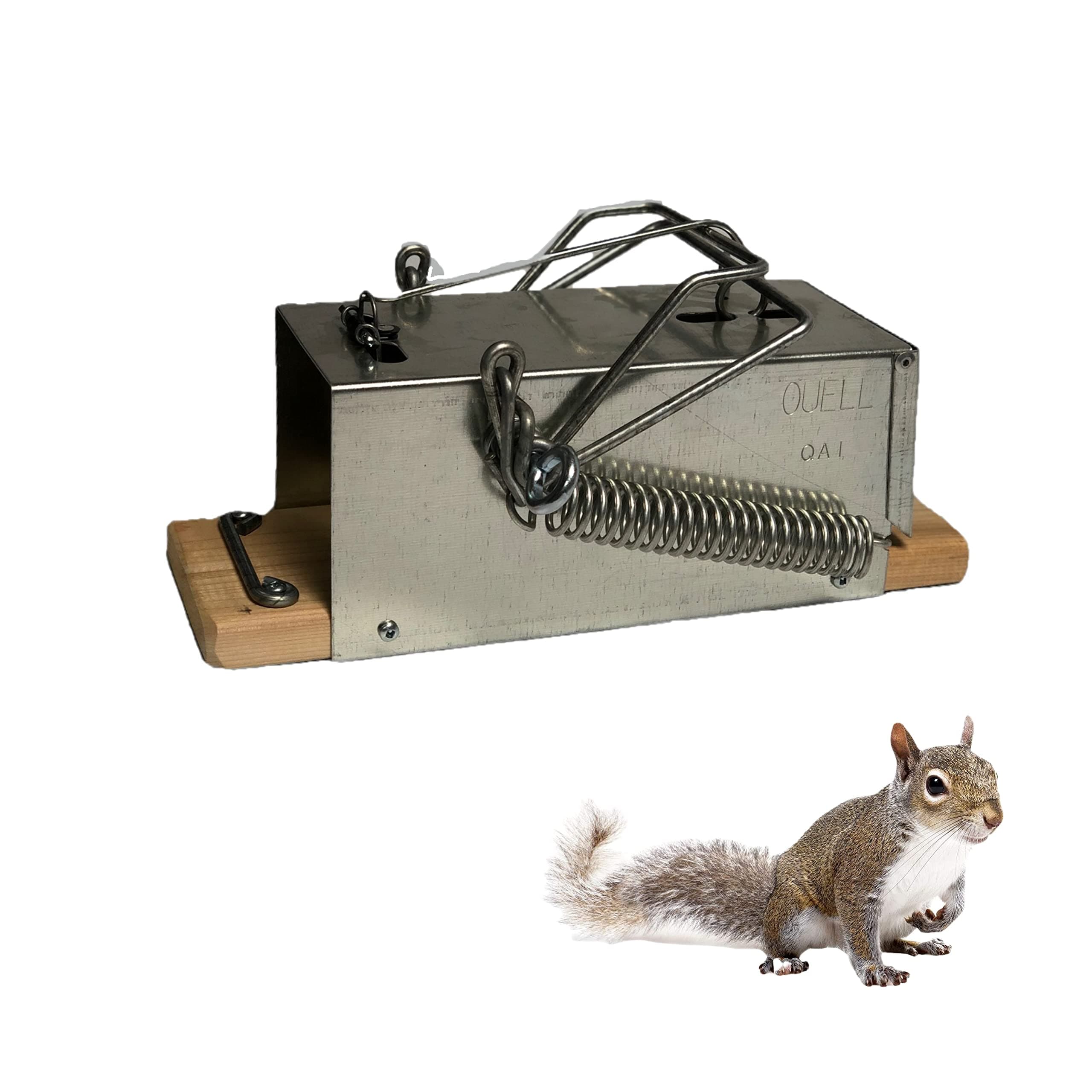 PIEGES OUELL TRAPS Squirrel Outdoor (Big)