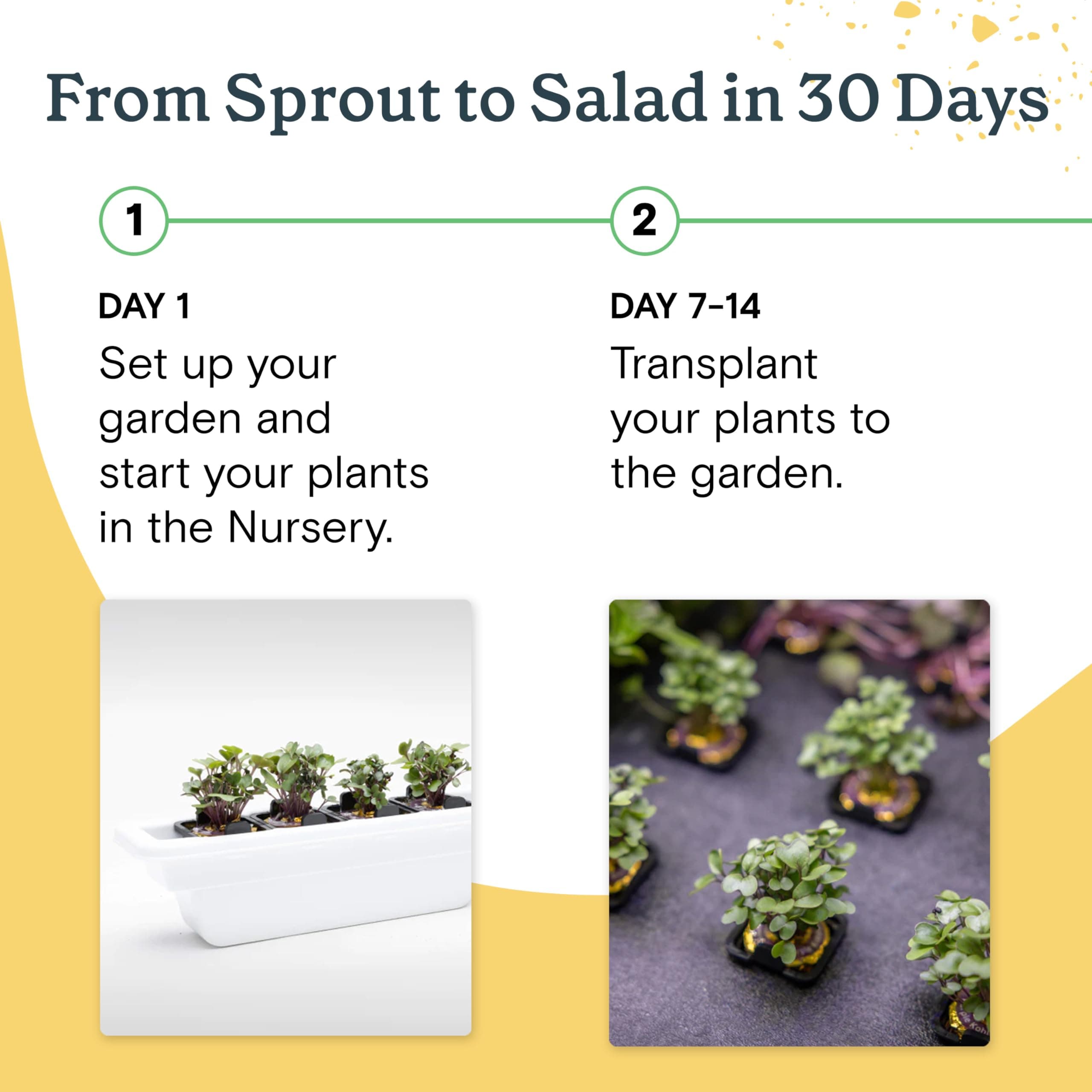 Rise Gardens Personal Rise Garden Hydroponic Indoor Garden Kit with LED Grow Light, Countertop Size