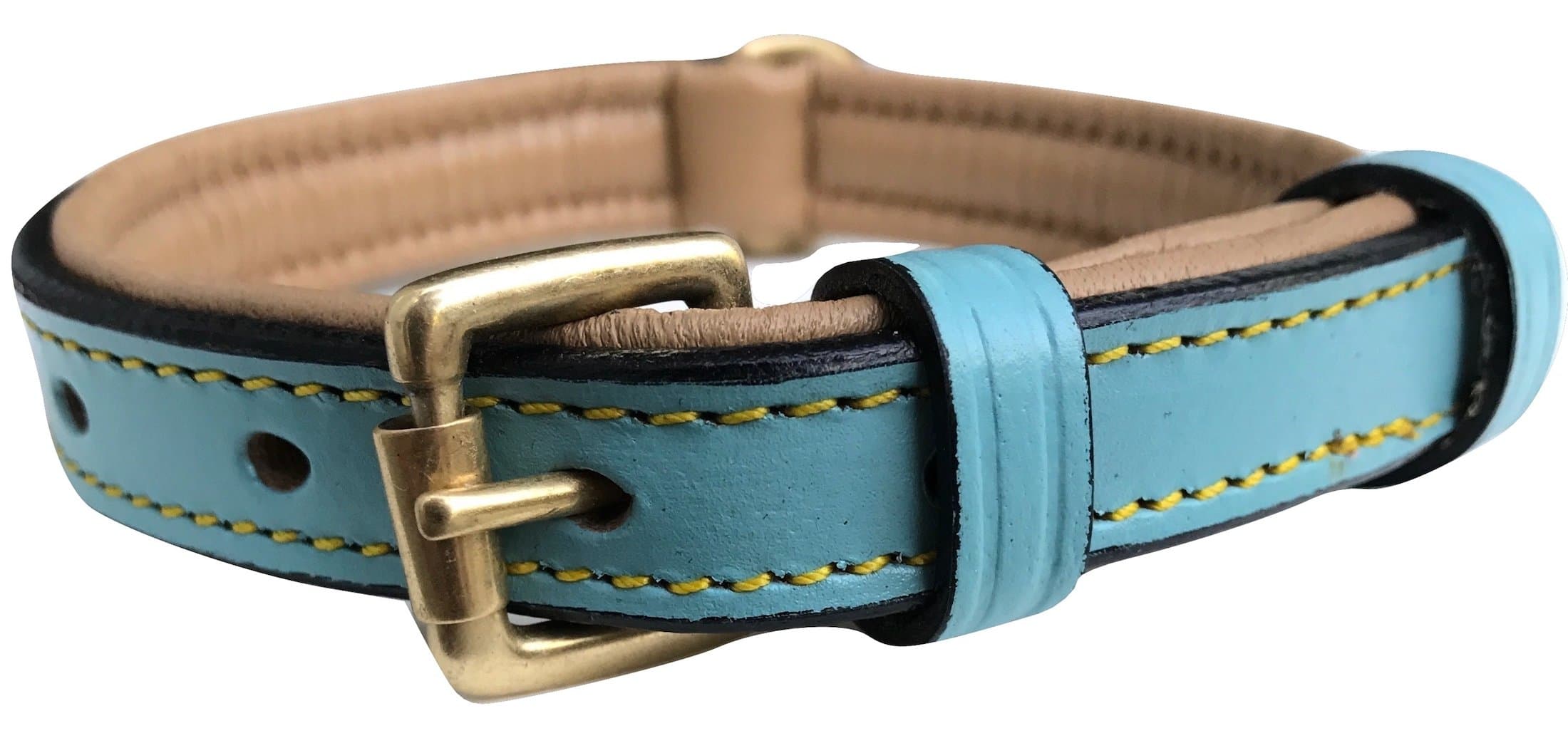Soft Touch Collars Small Leather Padded Dog Collar, Turquoise with Beige Padding,16" Long x 5/8" Wide, Neck Size 11" to 13.5"