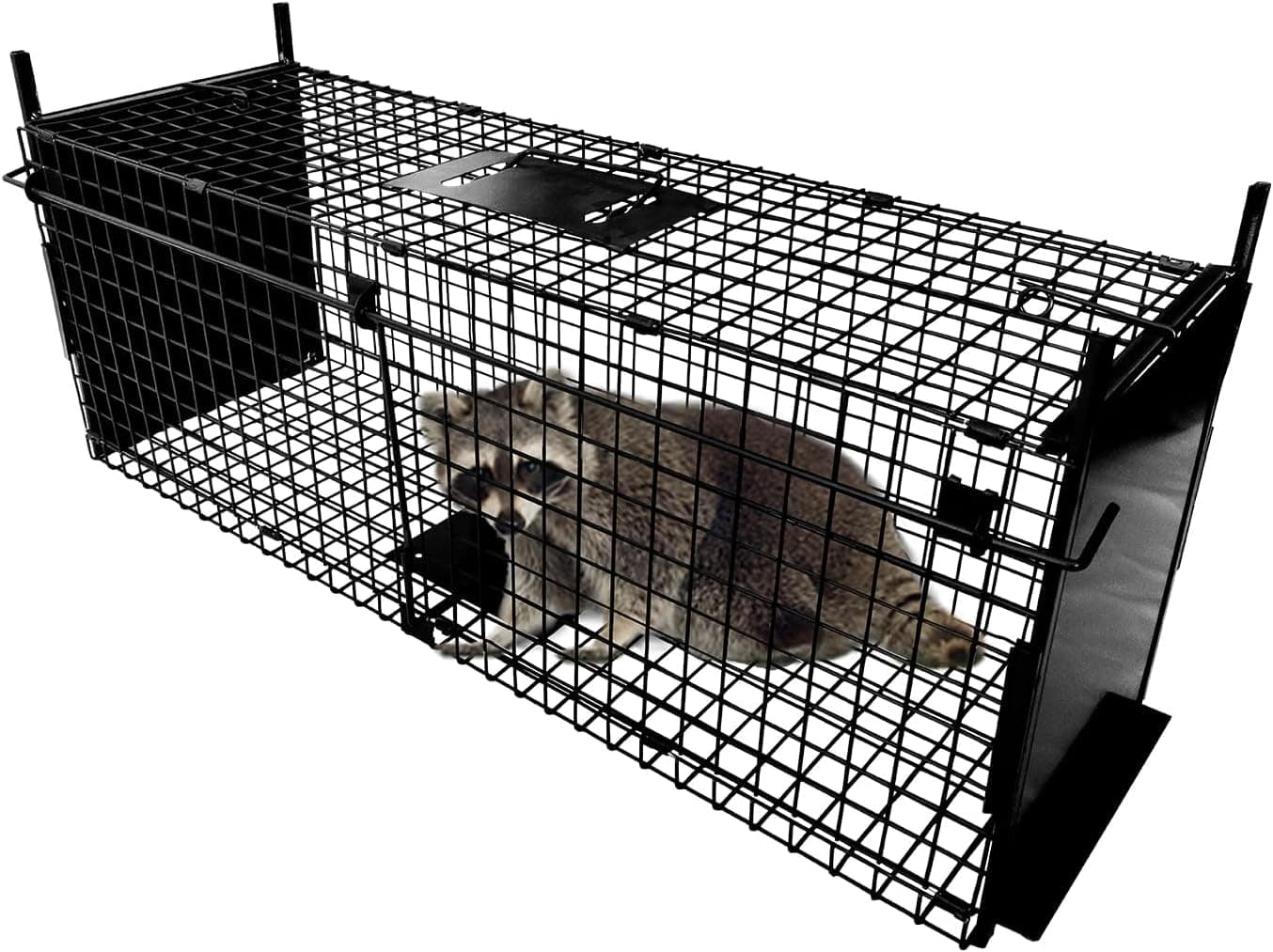 Animal Cage Trap Double Door Animal Cage Trap Metal Trap Cage Humane Live Animal Trap for Rabbit, Stray Cat, Squirrel, Raccoon, Mole, Gopher, Opossum