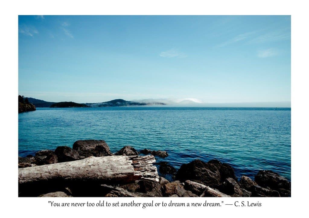 Driftwood quote A4 You are never too old to set another goal or to dream another dream - C.S. Lewis by Universal Prints Ltd