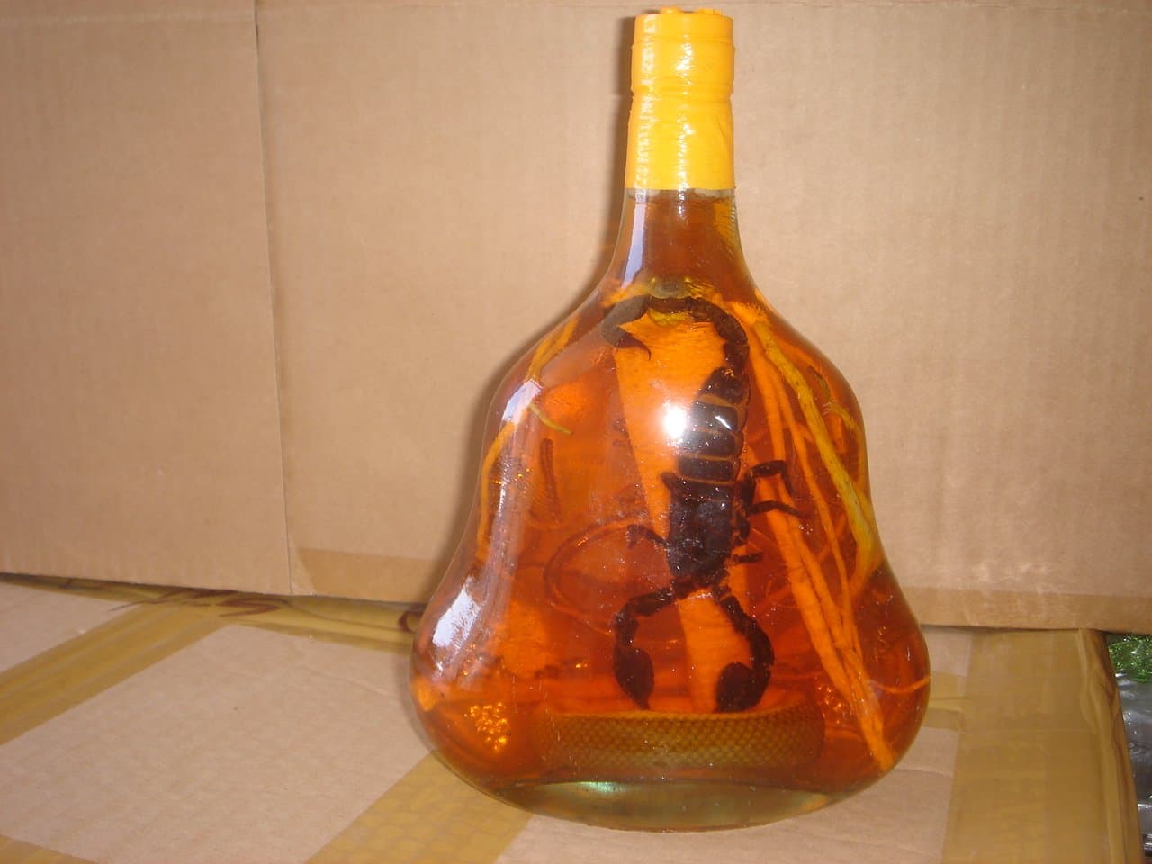 Real Cobra Snake and Scorpion in a Large X O Glass Bottle 9 Inch Tall