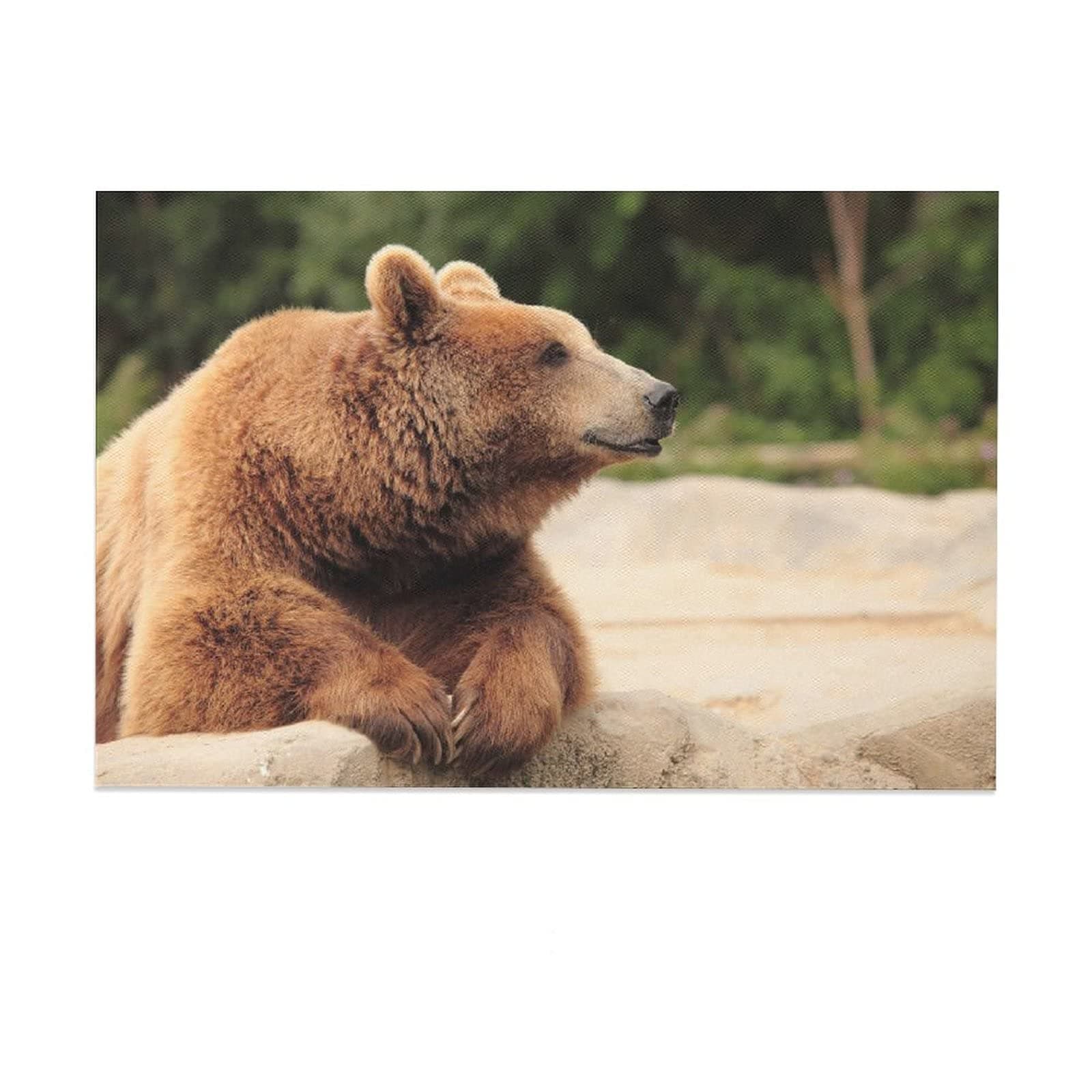JGYJF Wild Grizzly Bear Animal Wildlife12 Canvas Poster Wall Art Decor Print Picture Paintings for Living Room Bedroom Decoration 12×18inch(30×45cm)
