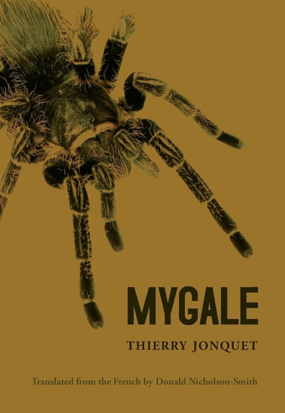 Mygale (City Lights Noir) Paperback – January 1, 2003