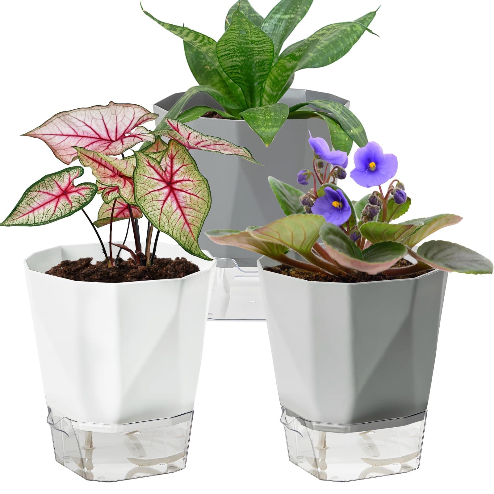 3 Pack Self Watering Planter Pots, 4.9 Inch African Violet Pots for Indoor Outdoor Windowsill Gardens, Plant Pot with Wick Rope and Reservoir