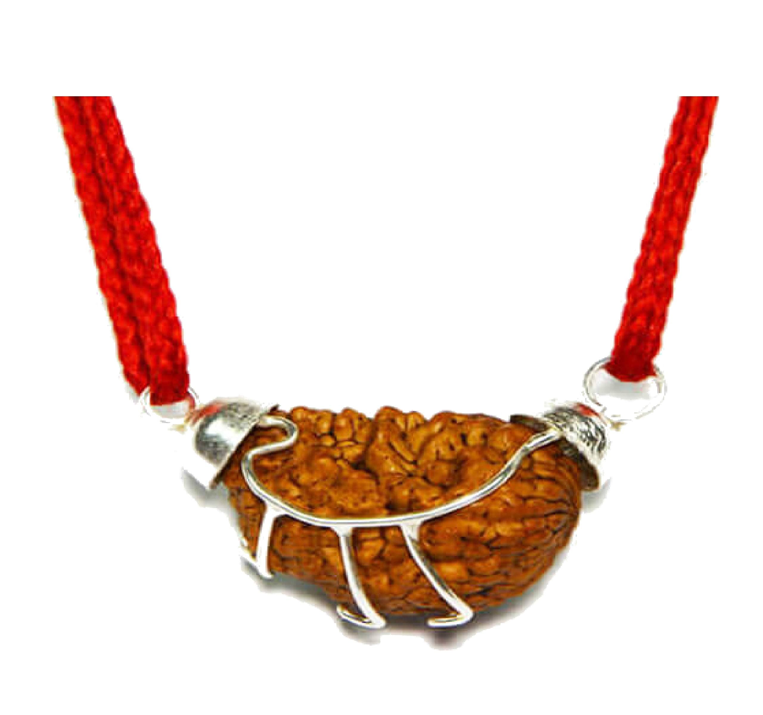 New one face (ek mukhi) Rudraksha pendant big size