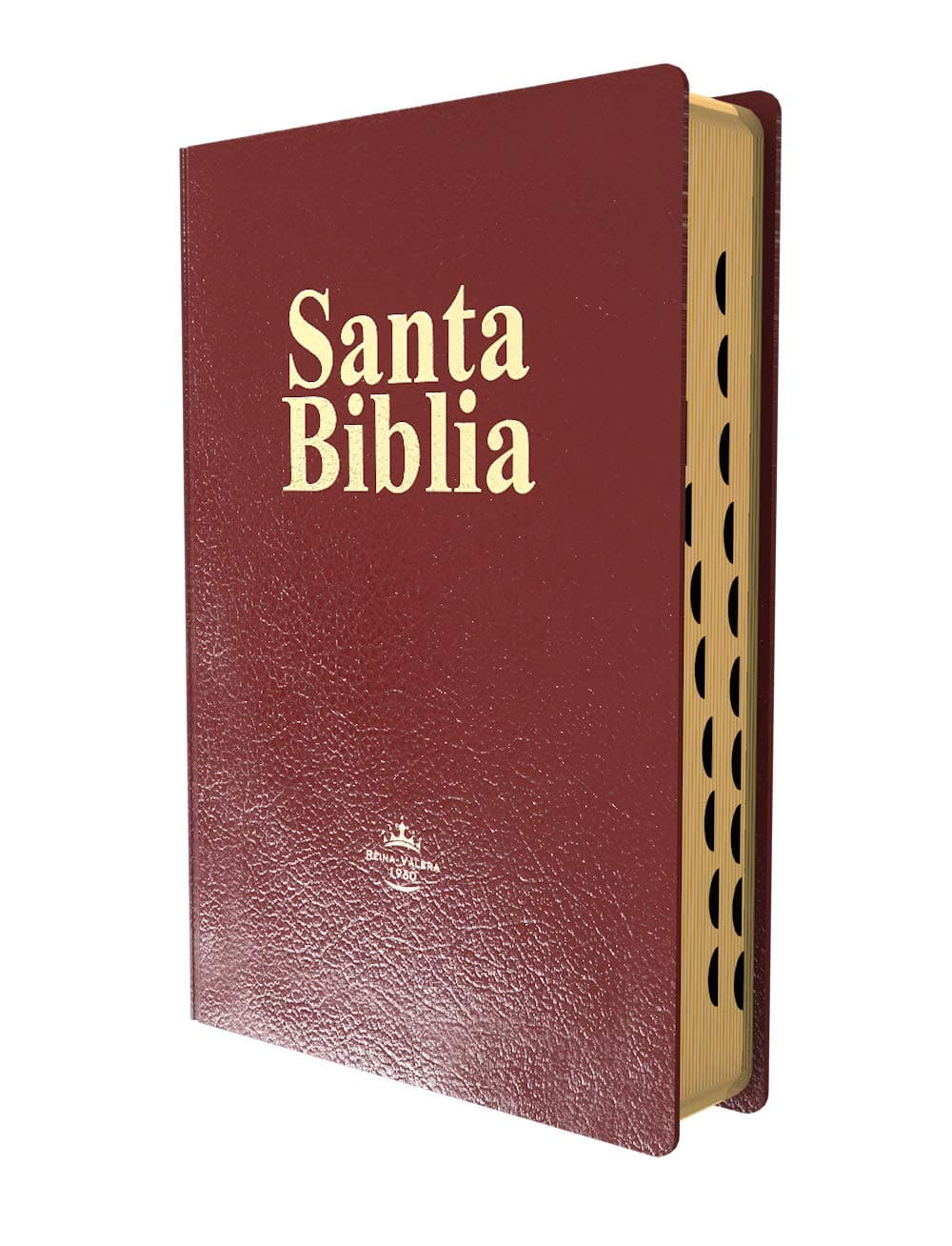 Biblia Letra Gigante con Concordancia Reina-Valera 1960 Piel Fabricada Vino con Index Imitation Leather – January 1, 2018