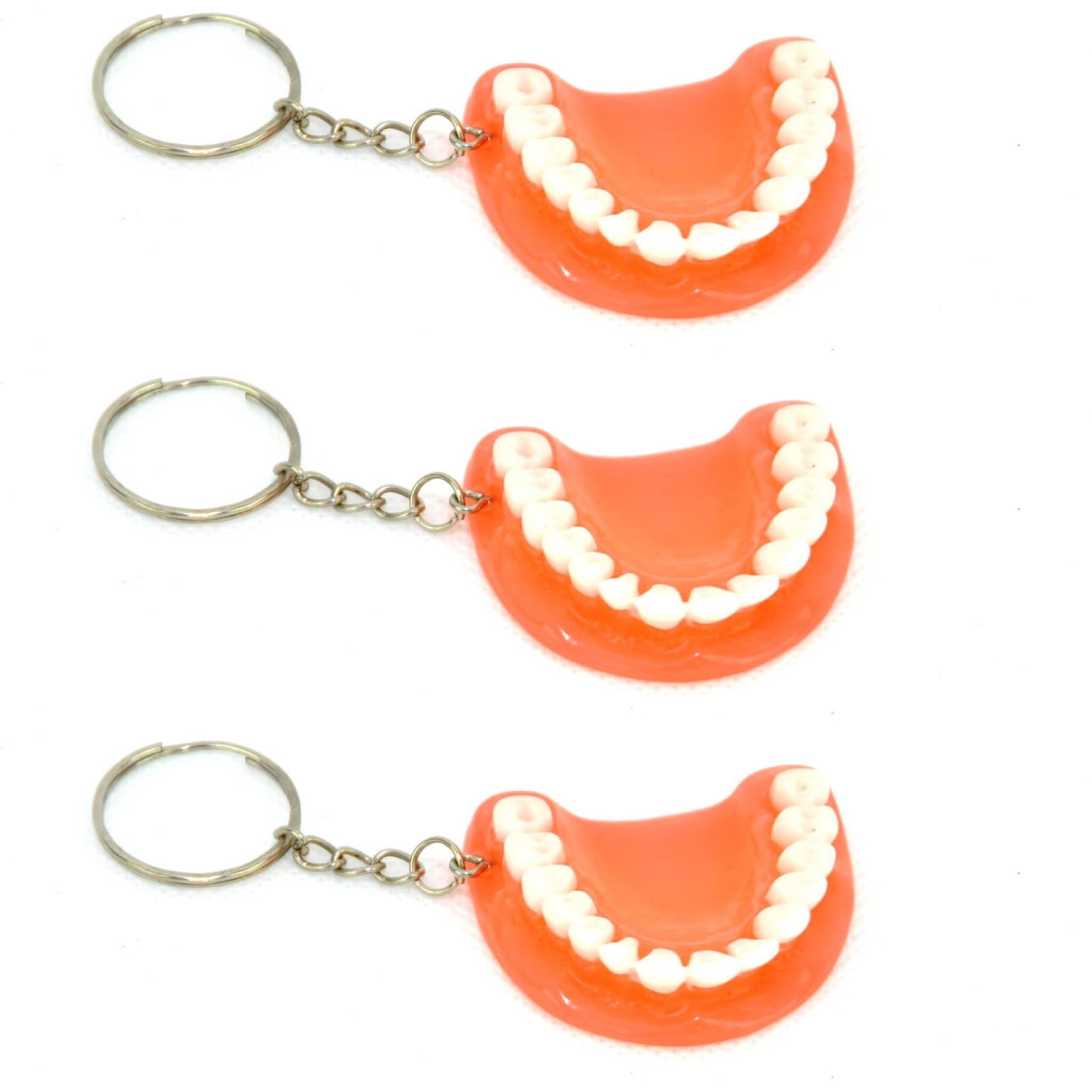 3 x Teeth Keyring 3rd Third Keychain Dentist
